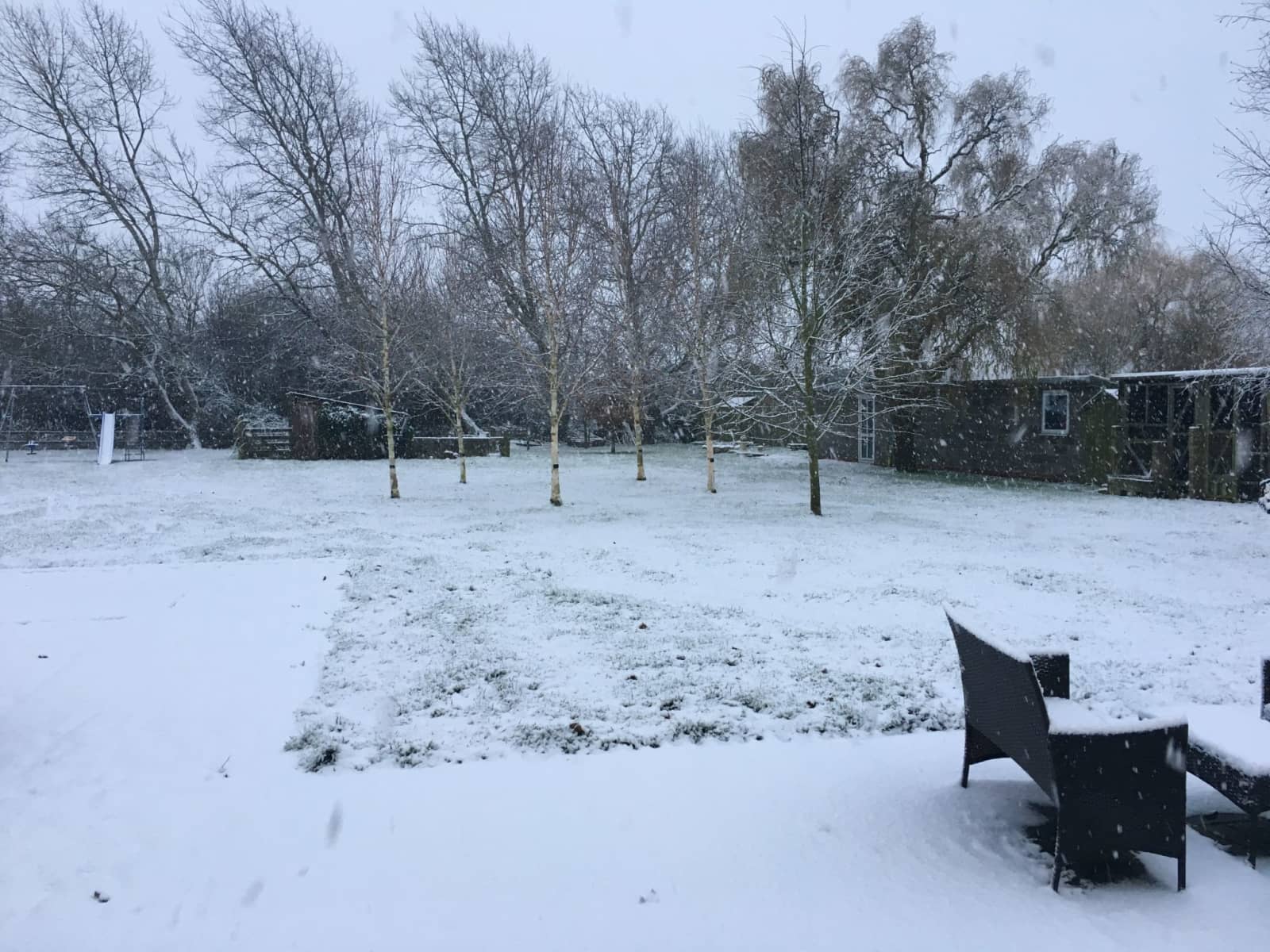 Housesitting assignment in Cambridge, United Kingdom
