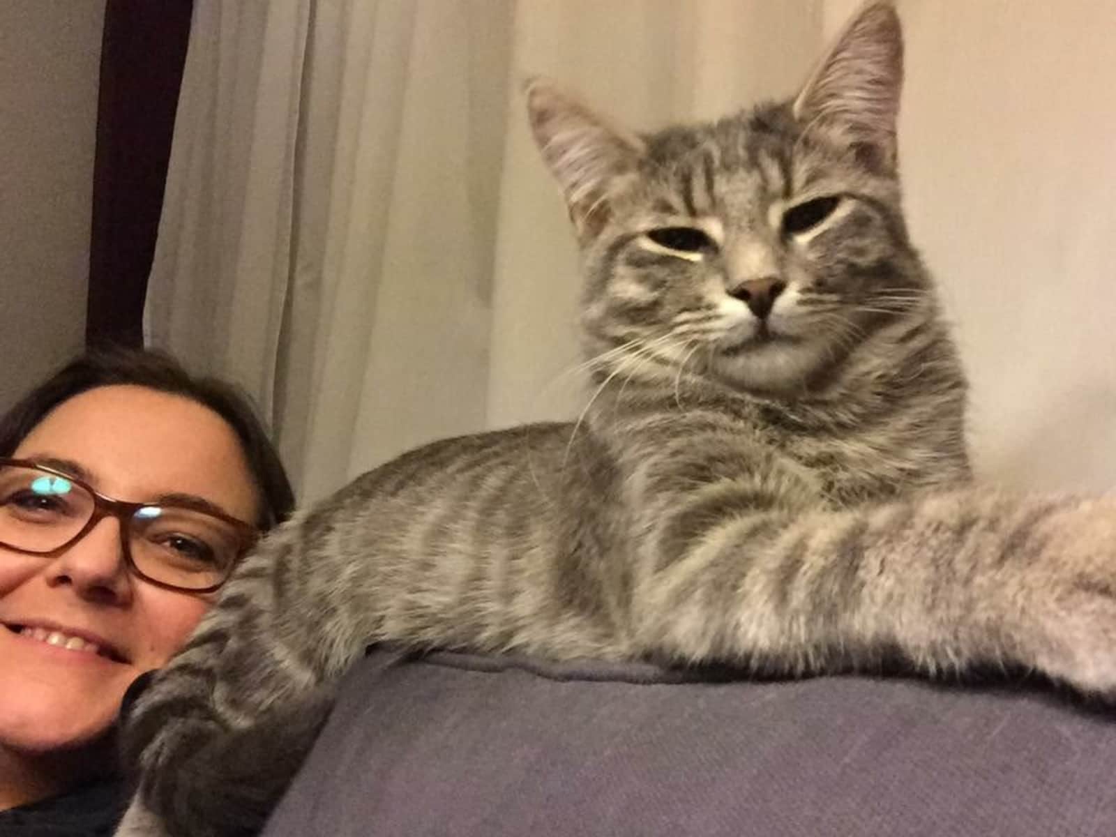 Housesitting assignment in Zürich (Kreis 11), Switzerland