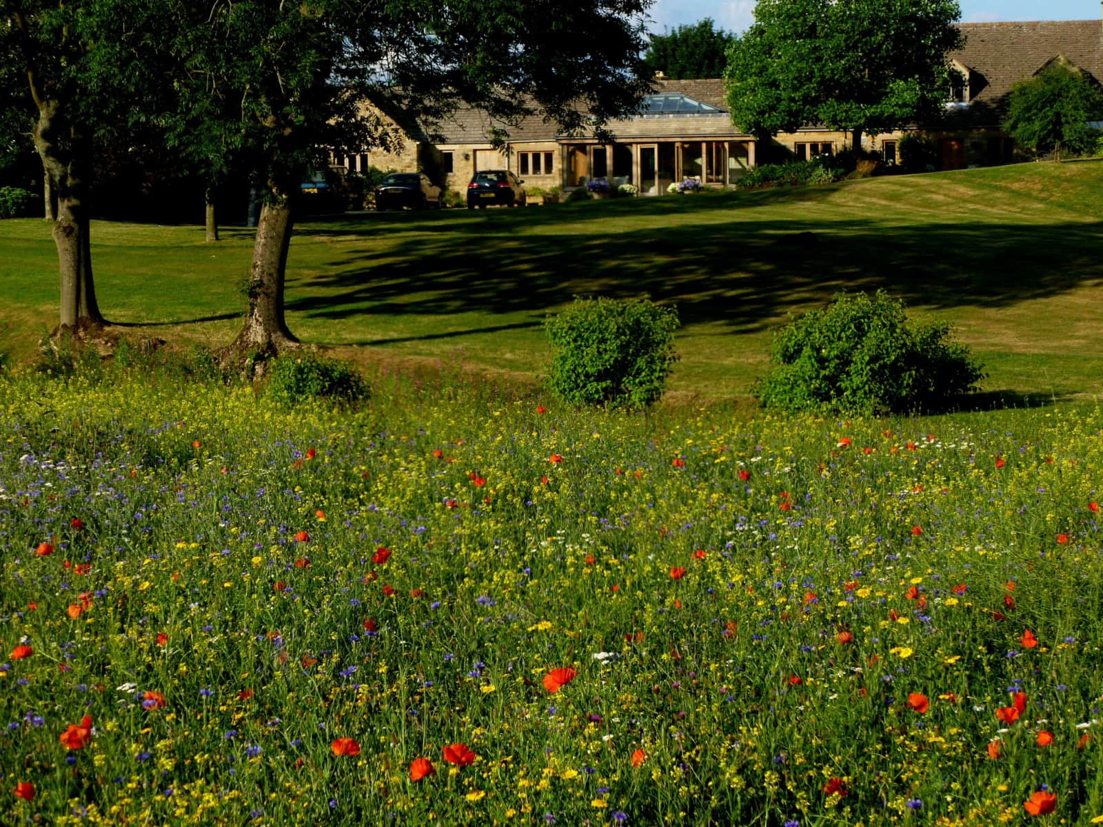 Housesitting assignment in Stow on the Wold, United Kingdom