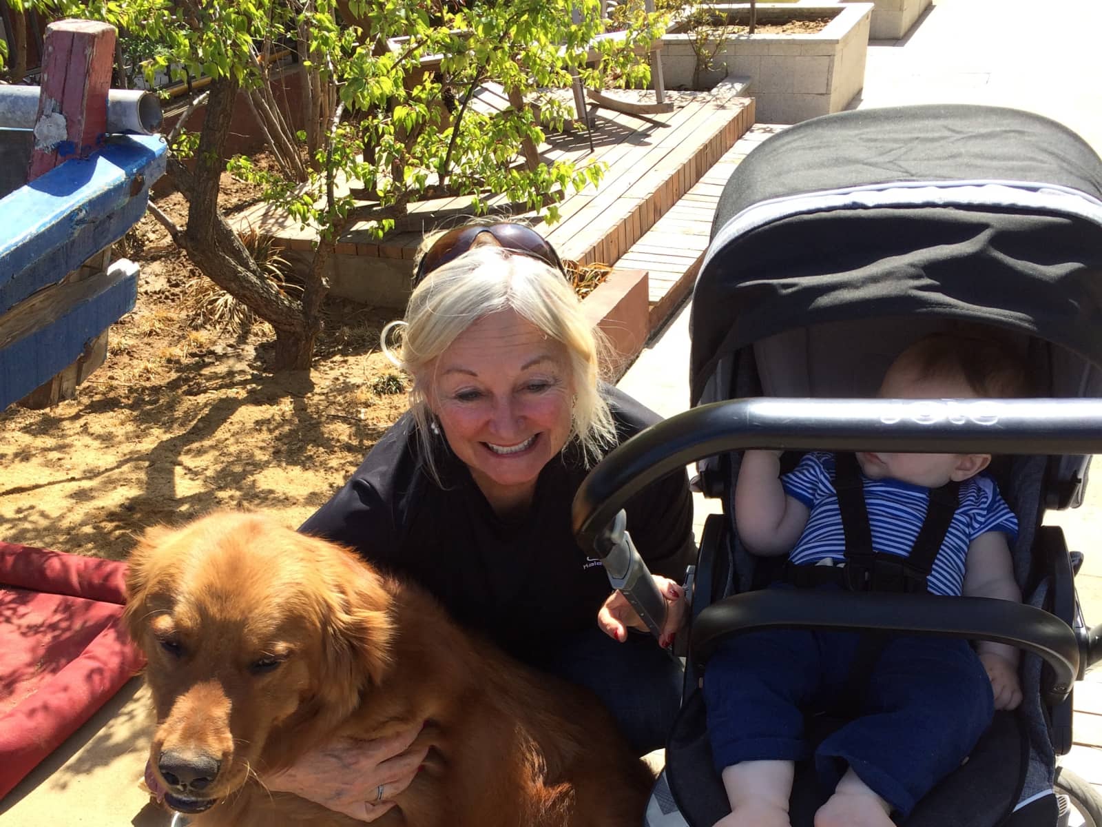 Barbara from Oakville, Ontario, Canada