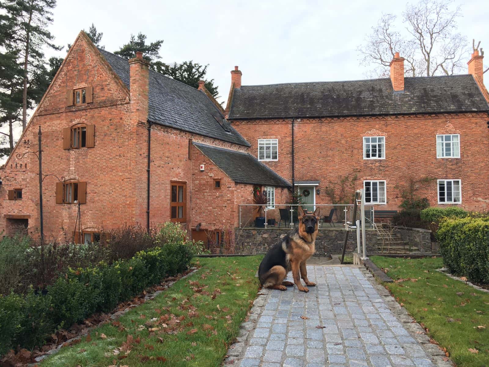 Housesitting assignment in Long Whatton, United Kingdom