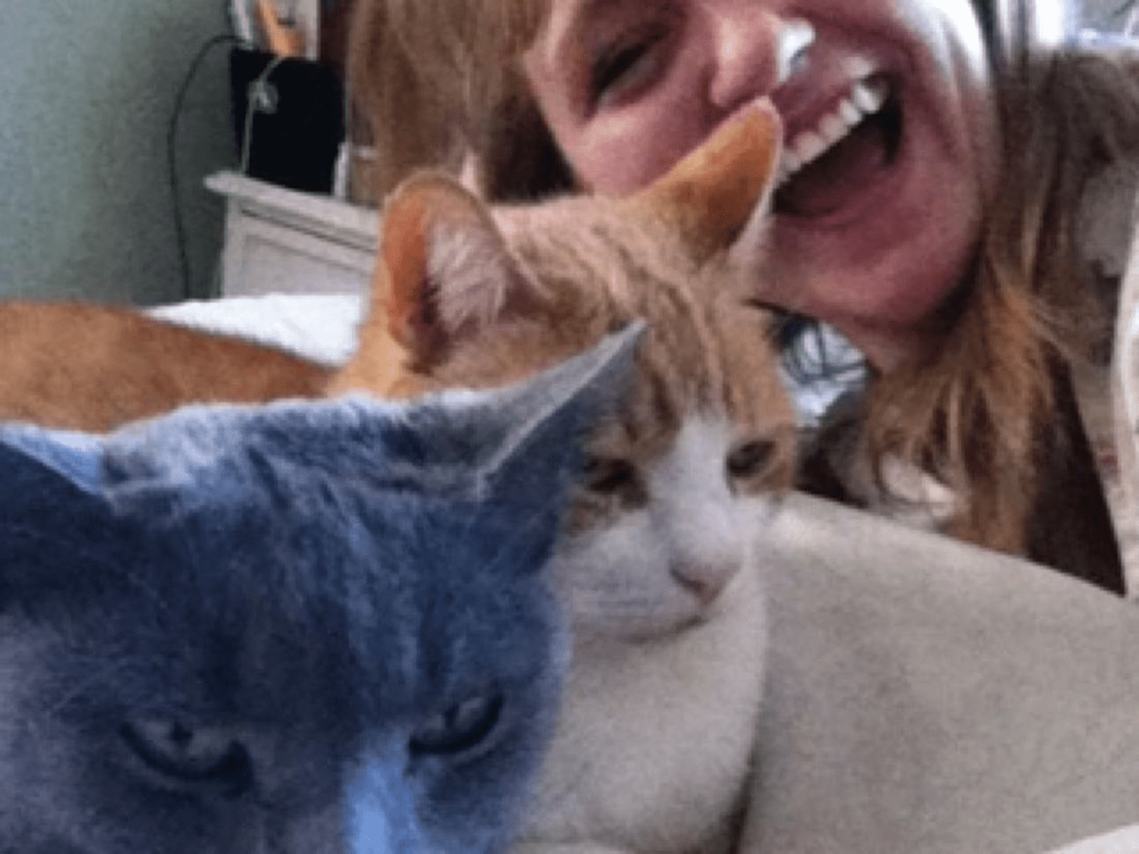 Rebekah from New York City, New York, United States