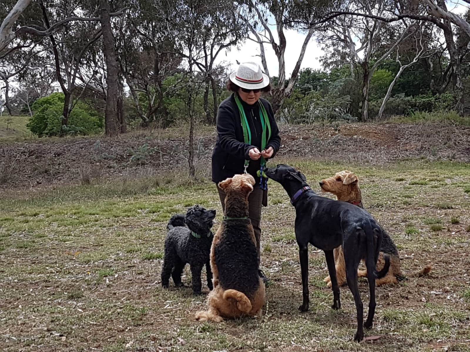 Toni & Rod from Wongawallan, Queensland, Australia