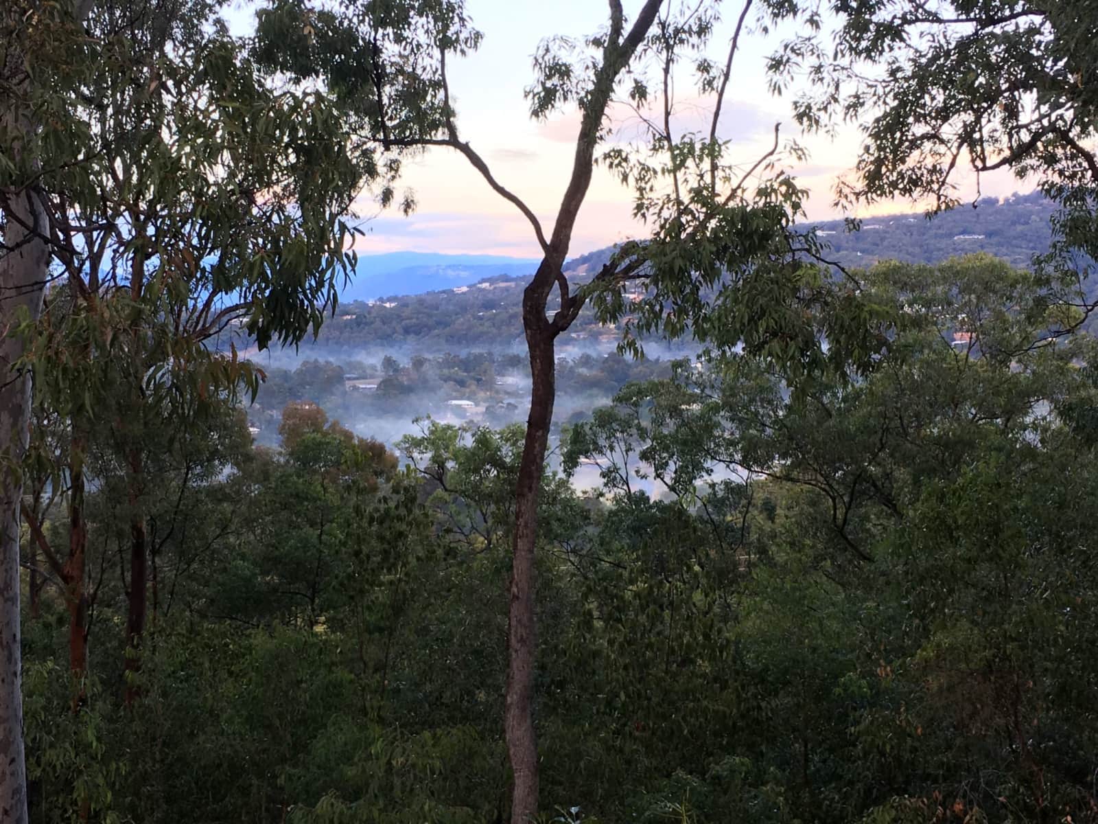 Housesitting assignment in Gold Coast, Queensland, Australia