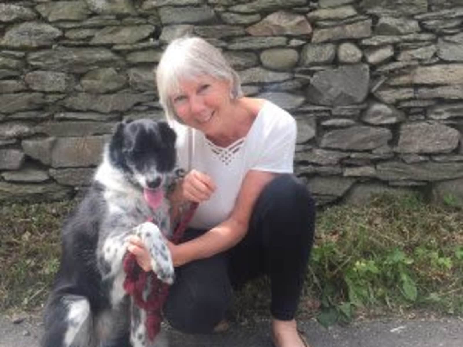 Brenda from Kendal, United Kingdom