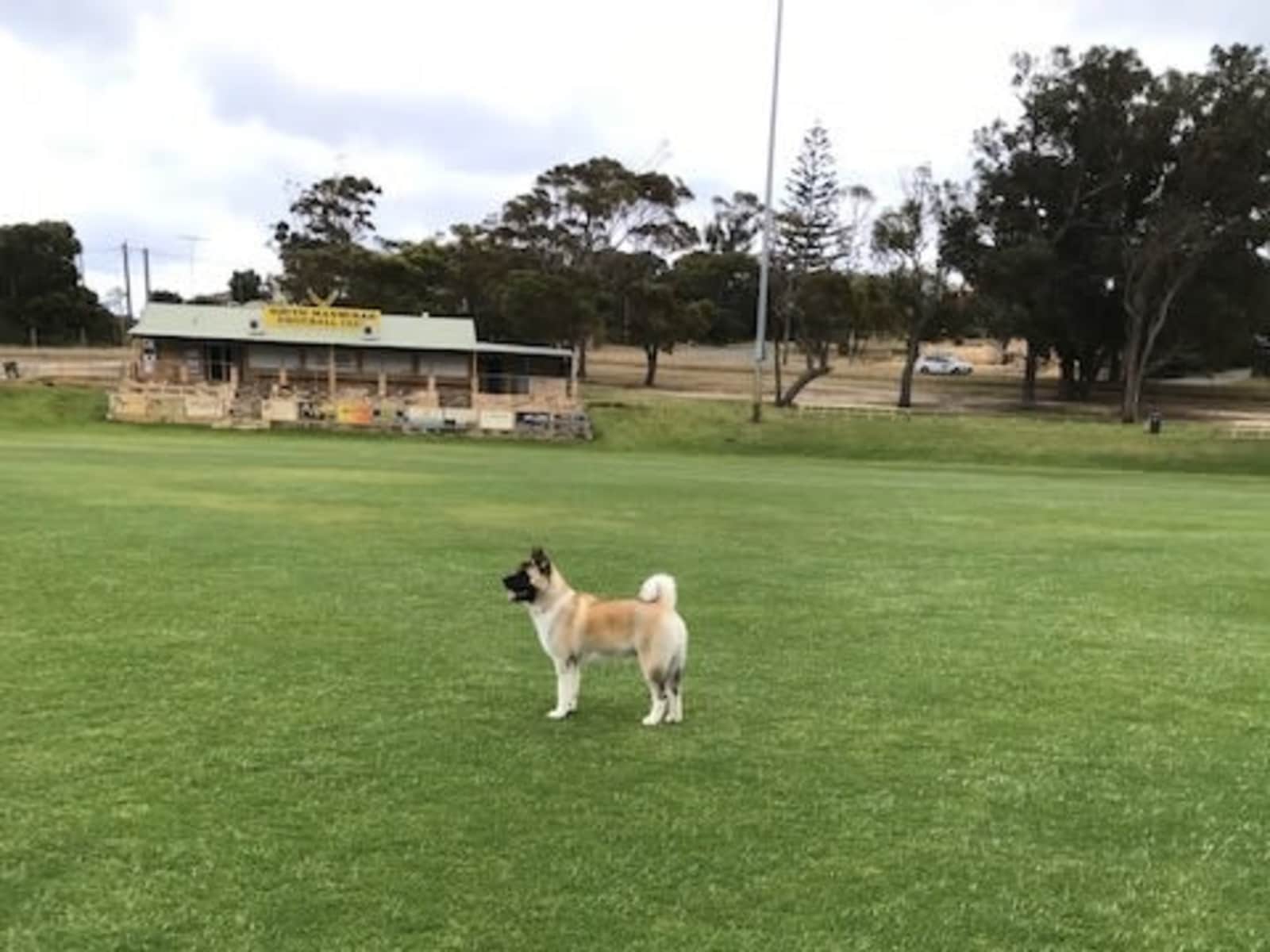 Housesitting assignment in Mandurah, Western Australia, Australia