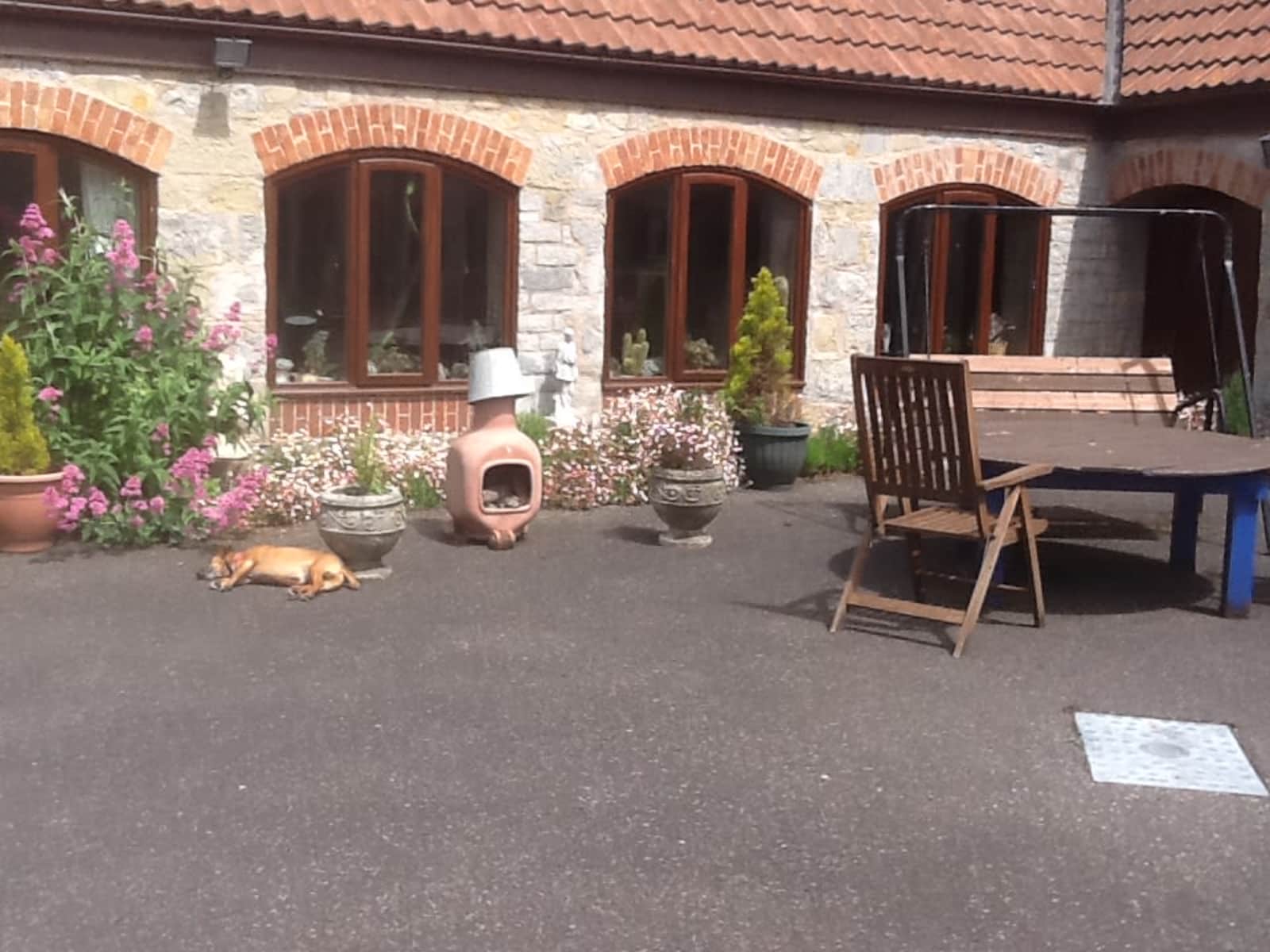 Housesitting assignment in Bridgwater, United Kingdom