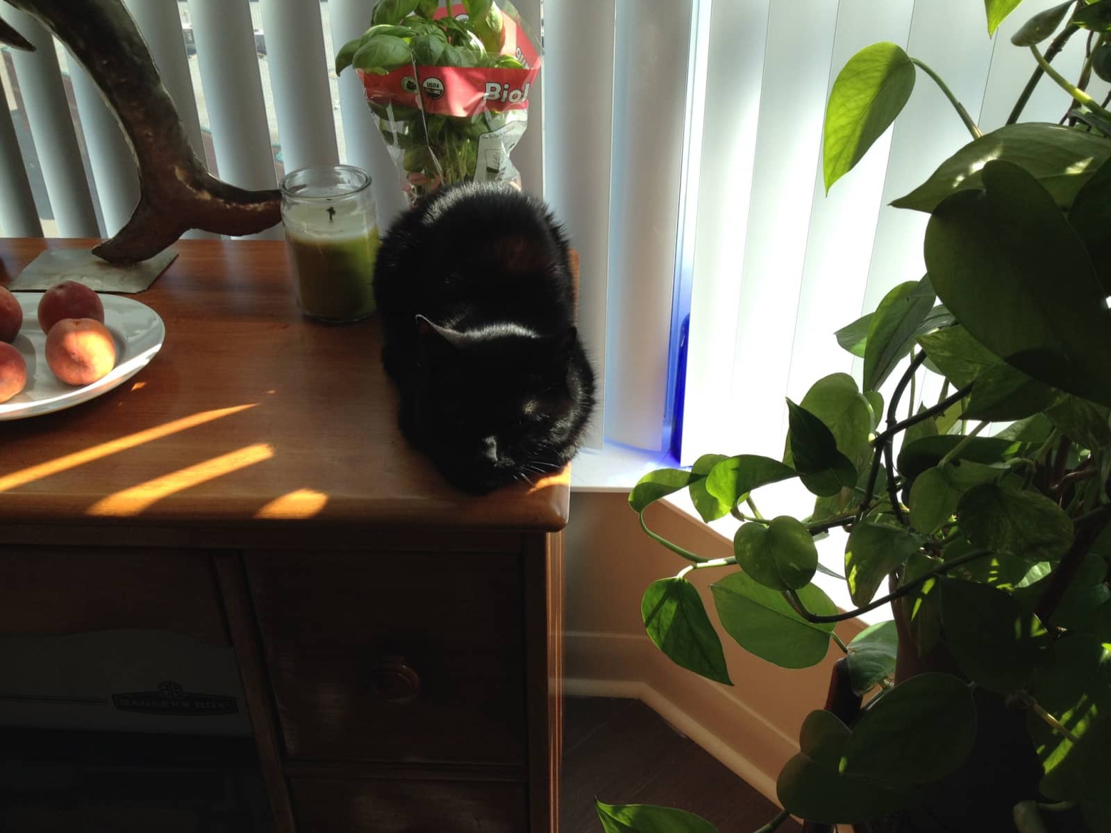 Susan from Vancouver, British Columbia, Canada