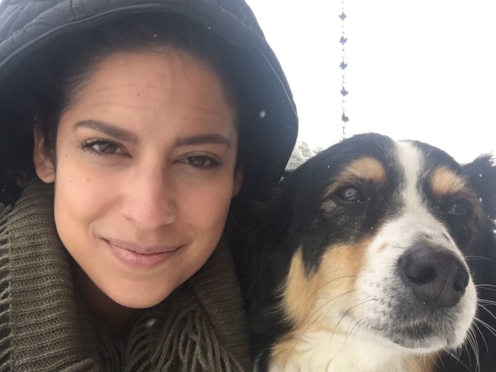 Sam from Chicago, Illinois, United States