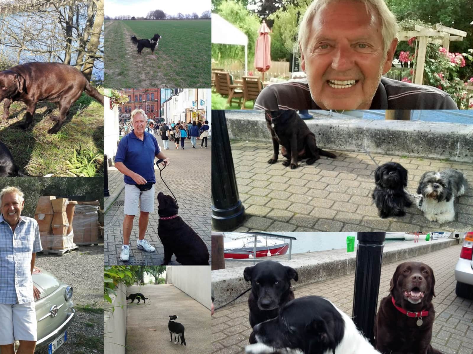 Frank from Weymouth, United Kingdom