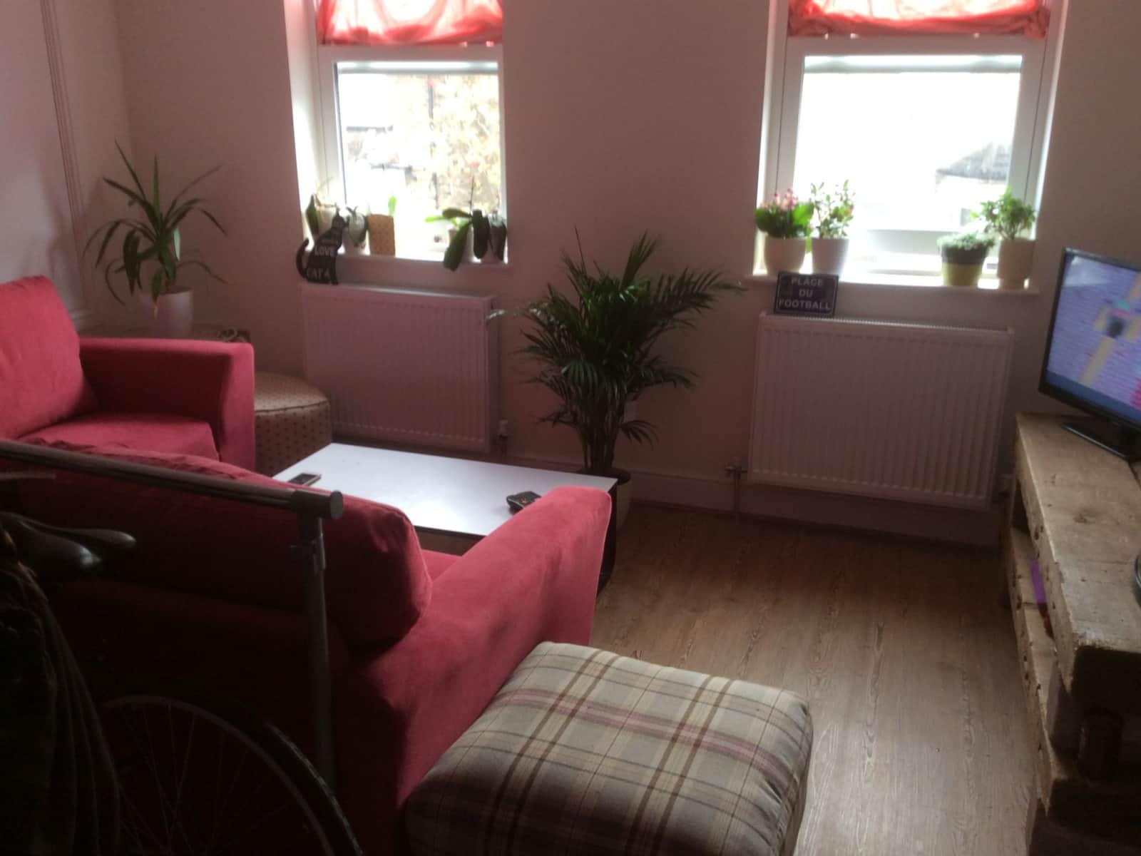 Housesitting assignment in Watford, United Kingdom