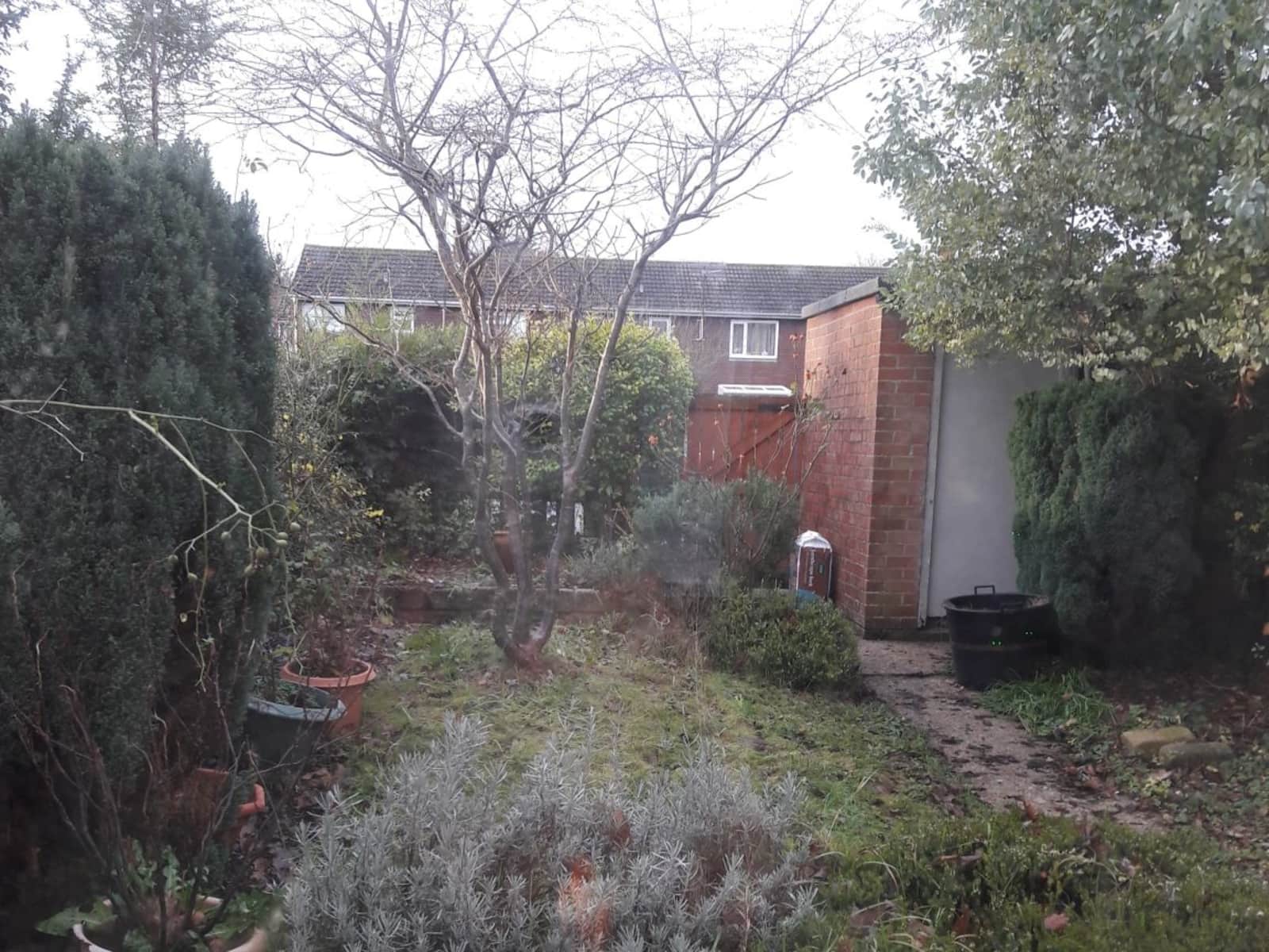 Housesitting assignment in Taunton, United Kingdom