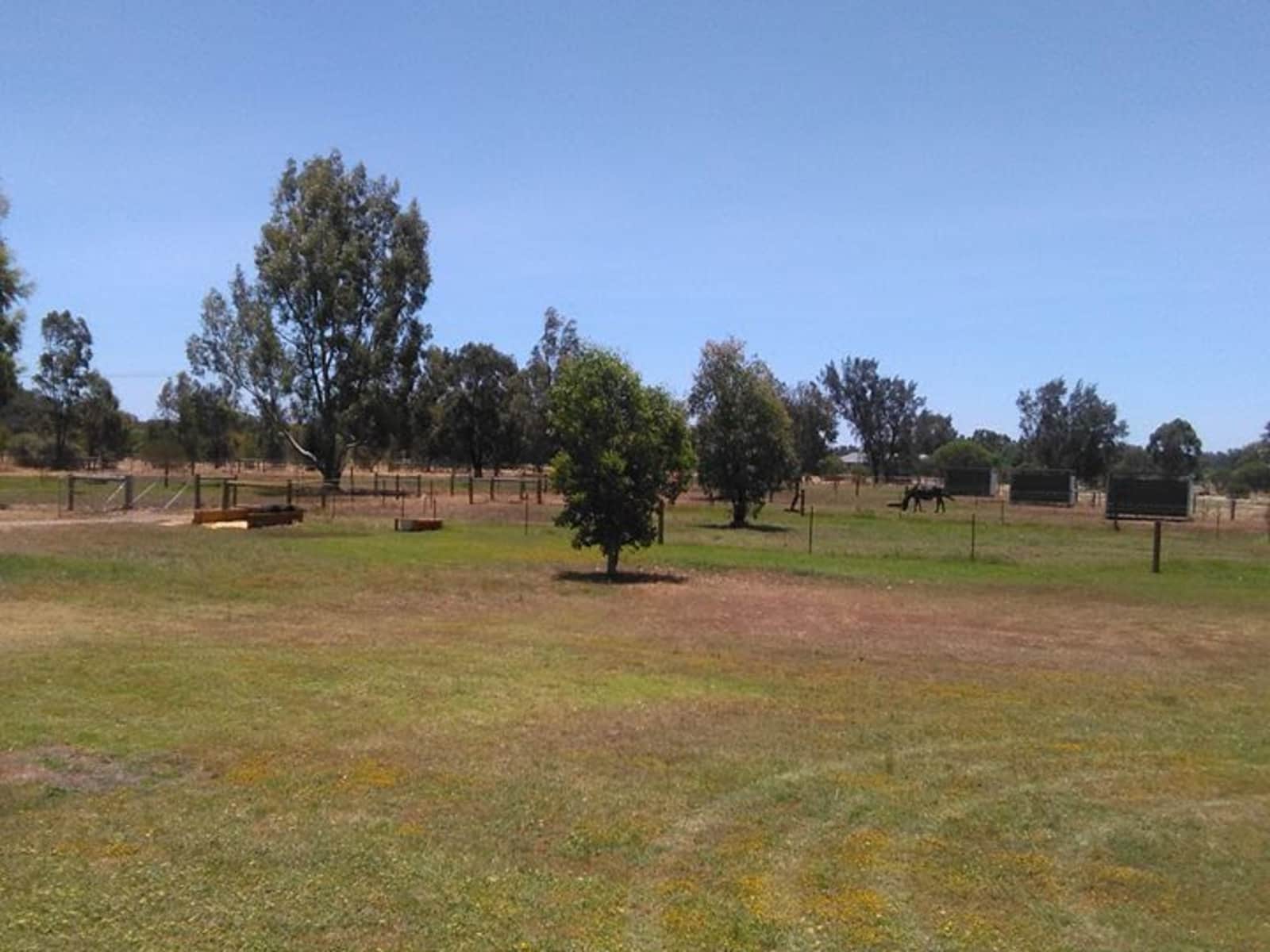Housesitting assignment in Oakford, Western Australia, Australia