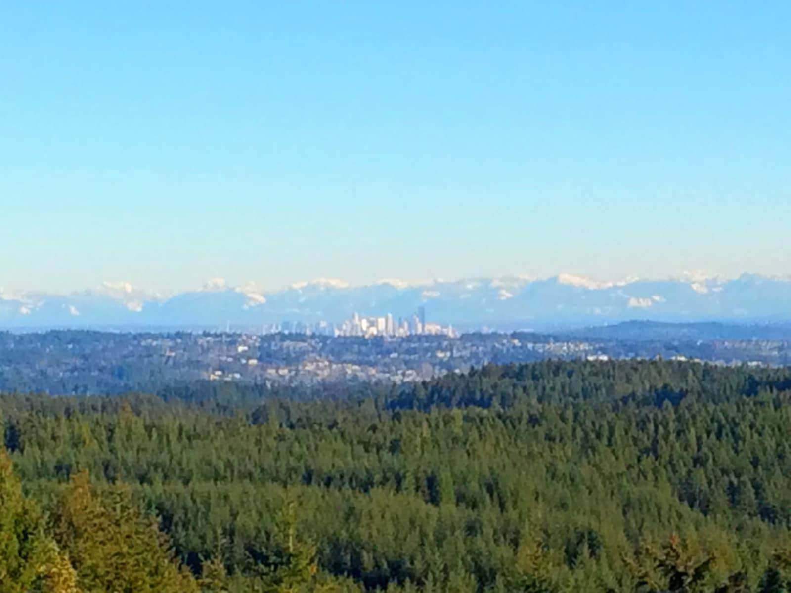 Housesitting assignment in Bremerton, Washington, United States