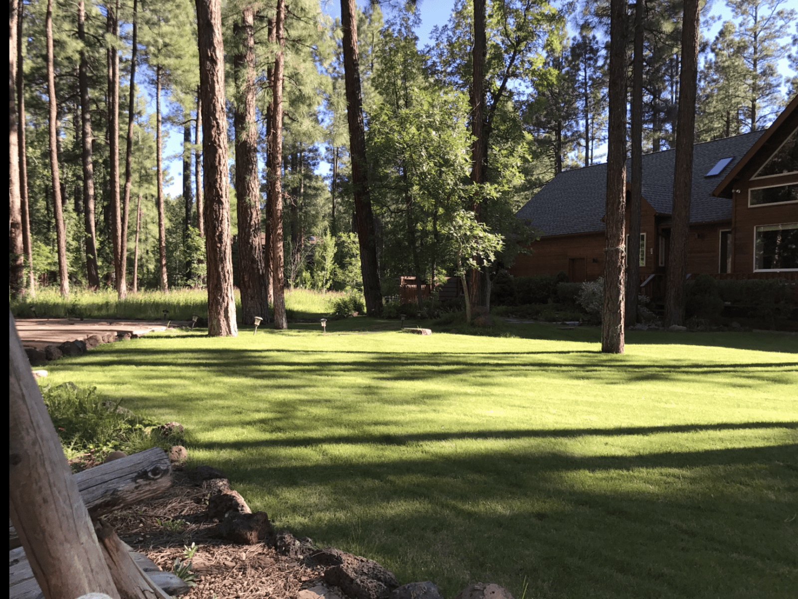 Housesitting assignment in Show Low, Arizona, United States
