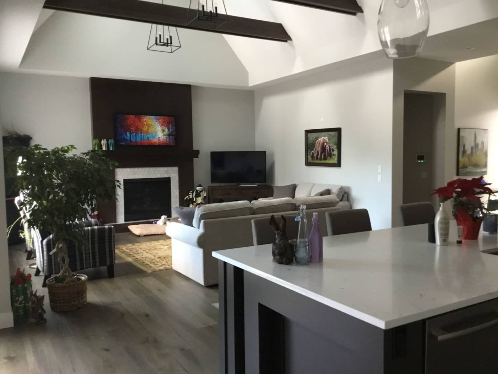 Housesitting assignment in Calgary, Alberta, Canada