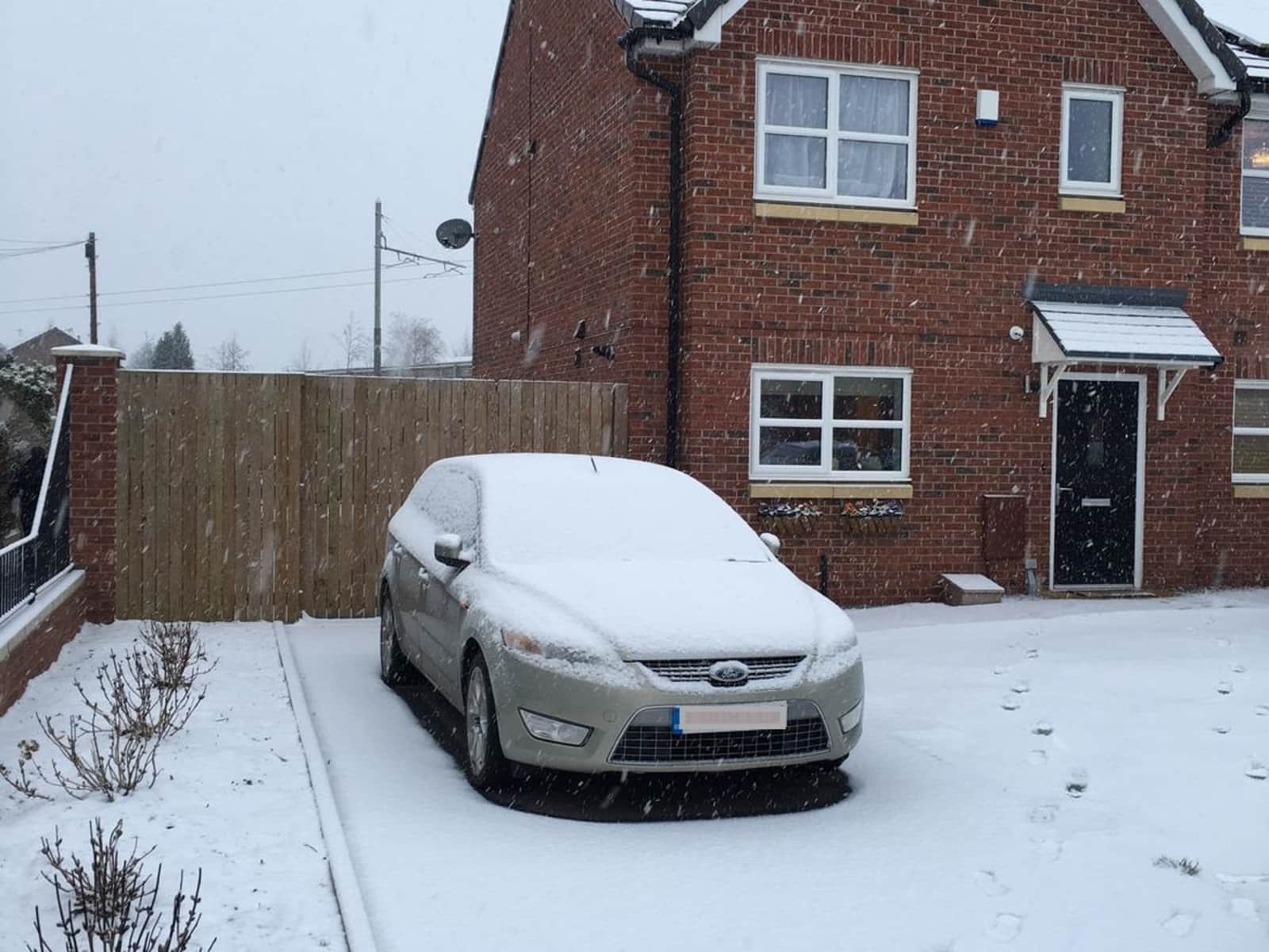 Housesitting assignment in Manchester, United Kingdom