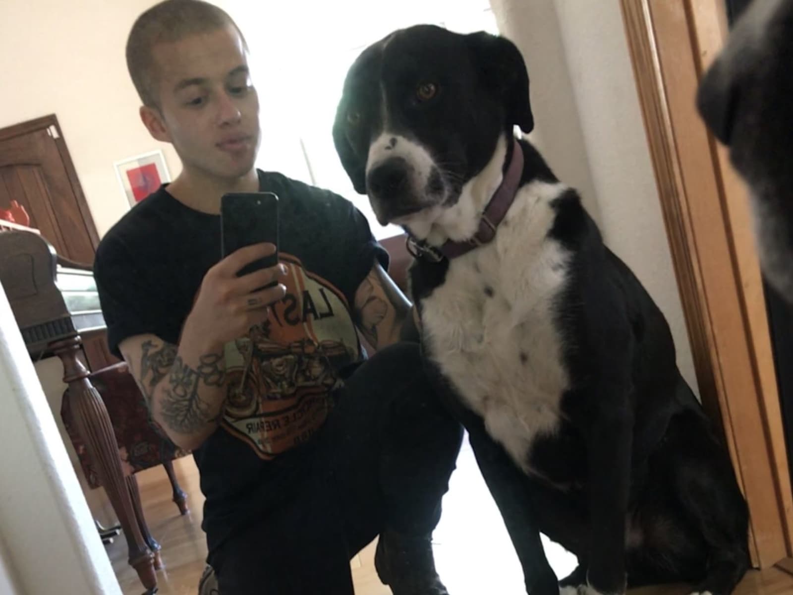 Liam from New York City, New York, United States