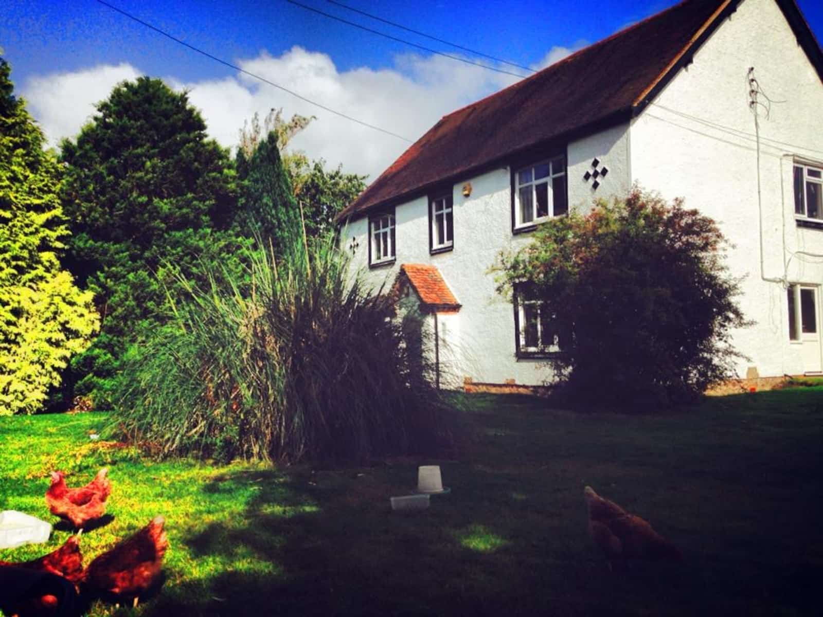 Housesitting assignment in Solihull, United Kingdom