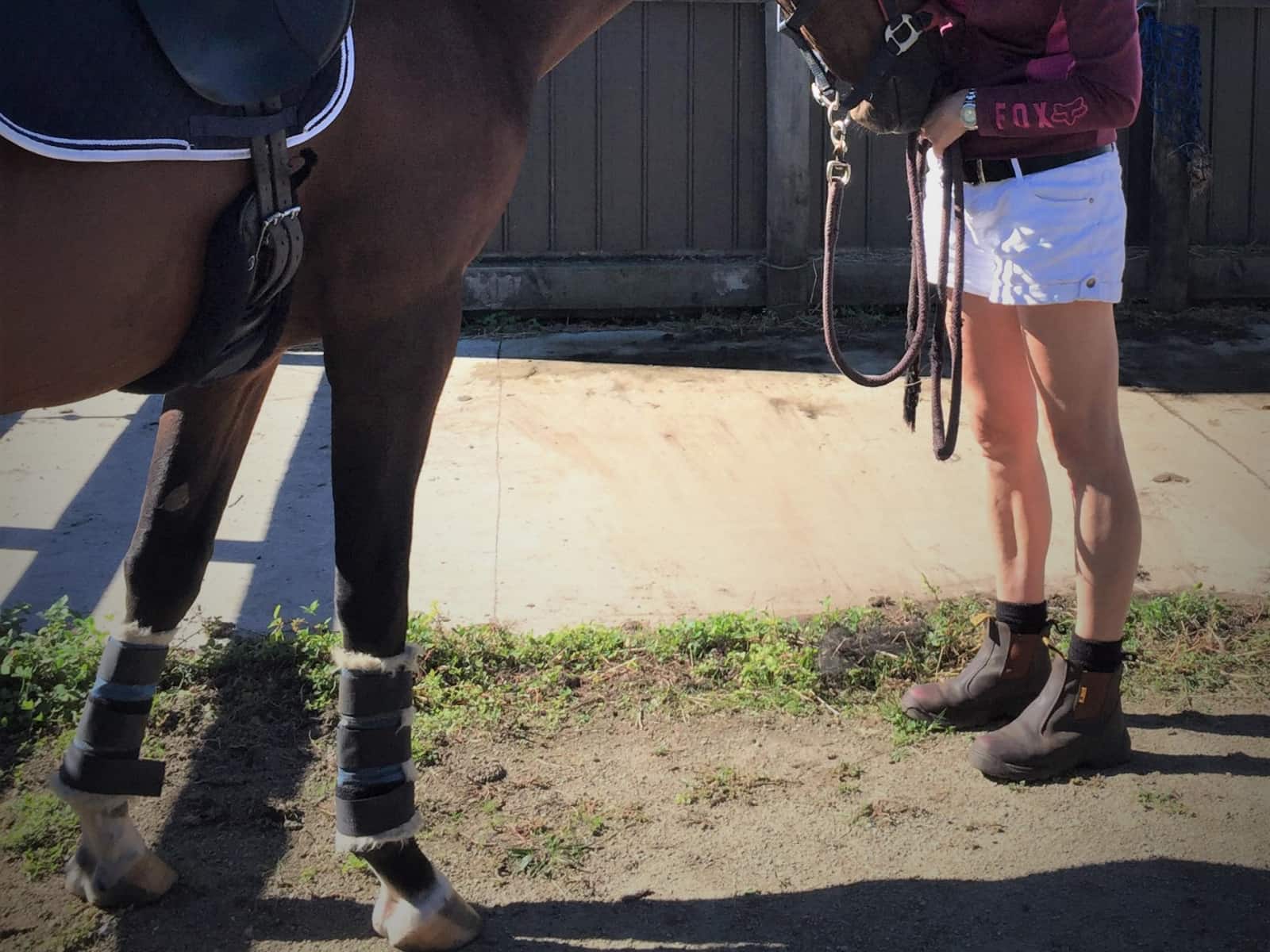 Rachel & Darcy from Westmere, New Zealand
