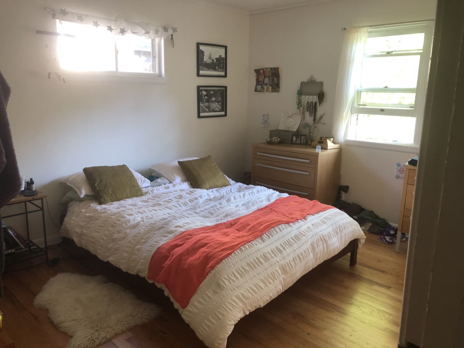 Housesitting assignment in Boulder, Colorado, United States