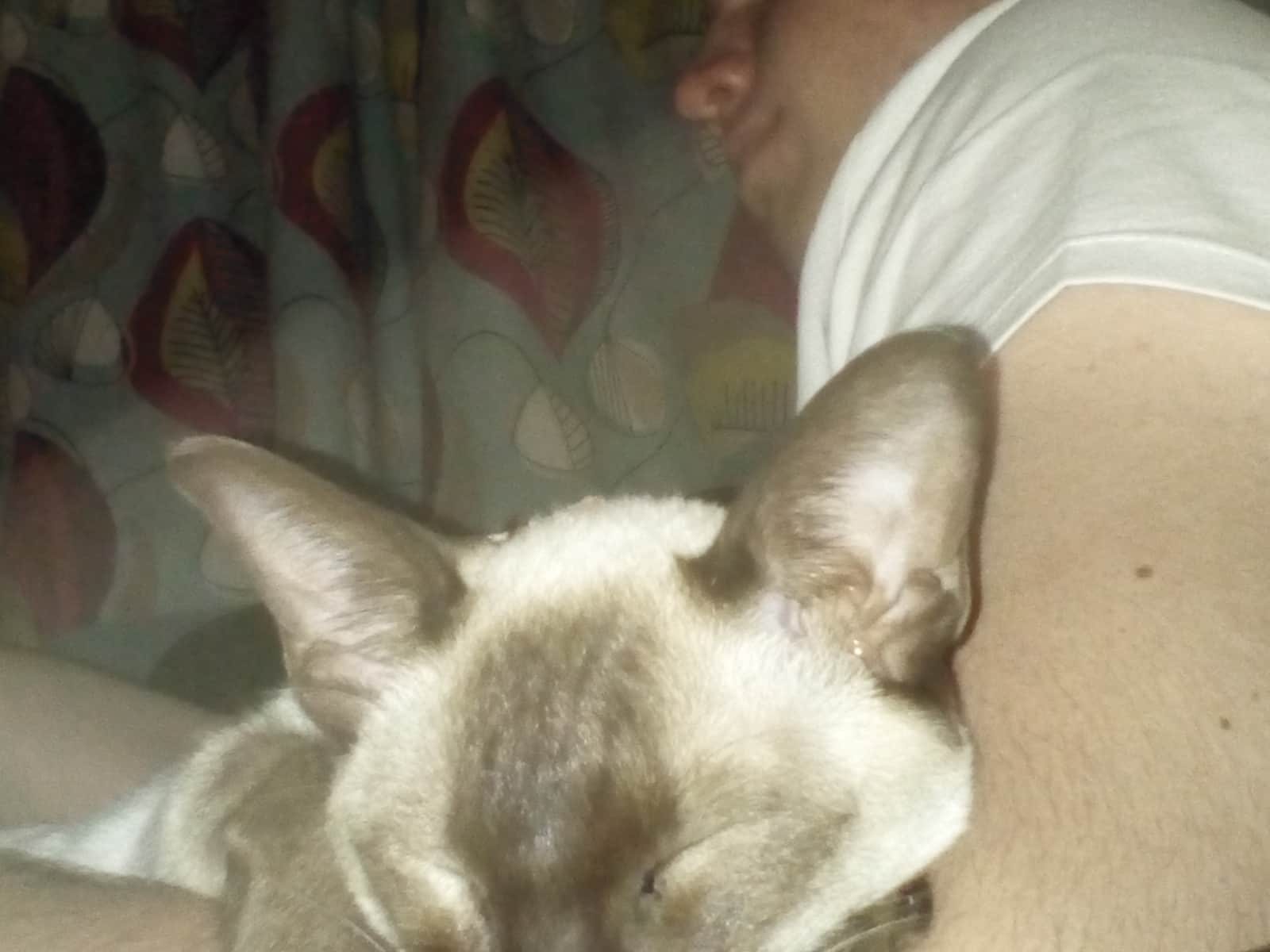Tabitha & Jeff from Chesham, United Kingdom