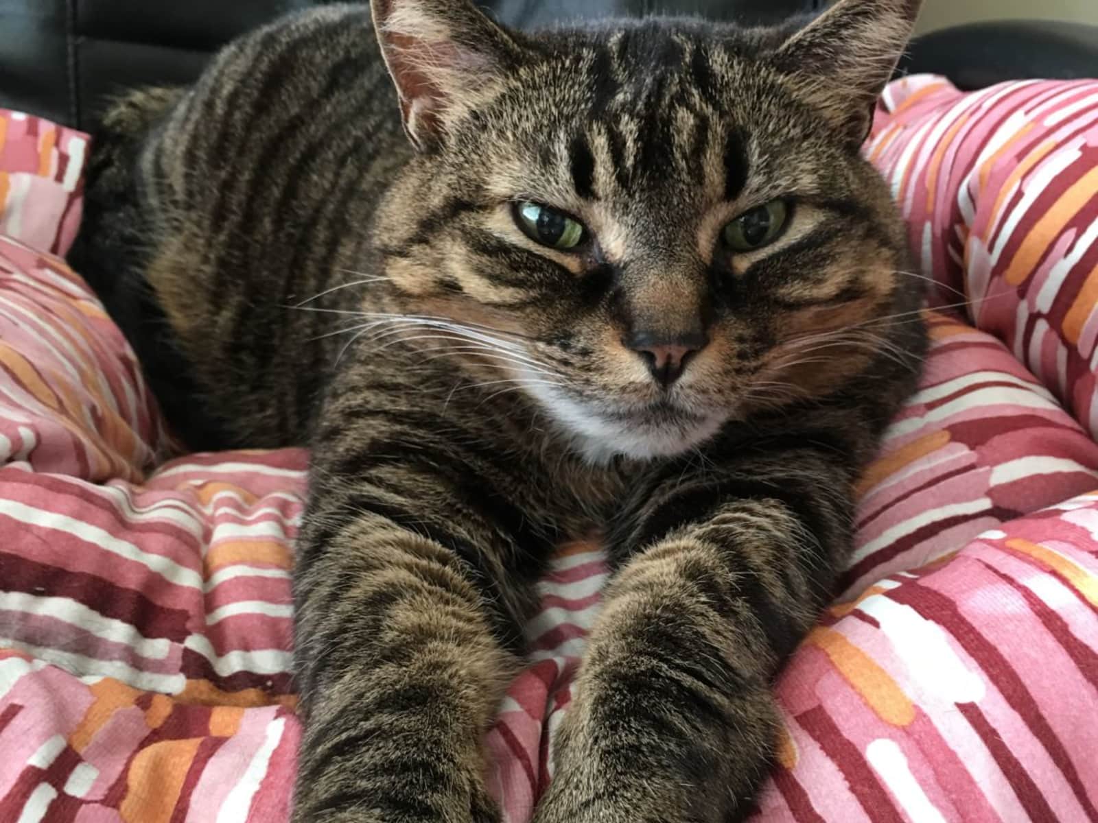 Housesitting assignment in Kelowna, British Columbia, Canada