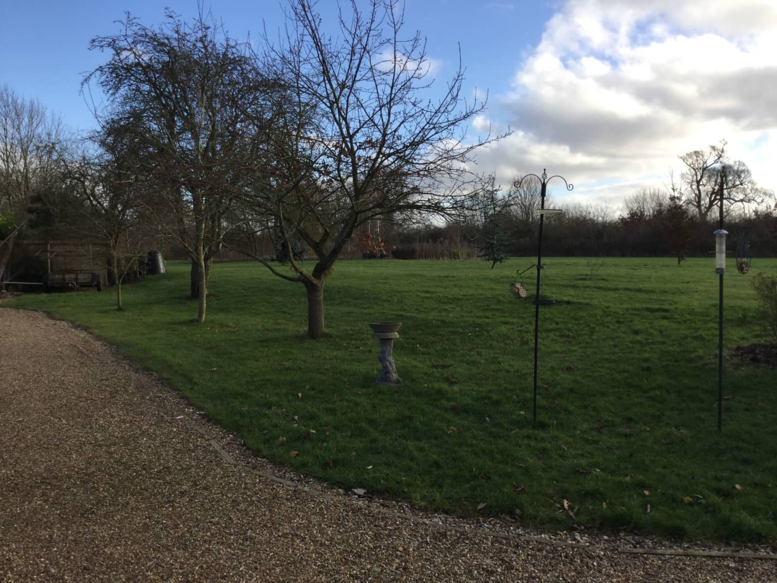 Housesitting assignment in Norwich, United Kingdom