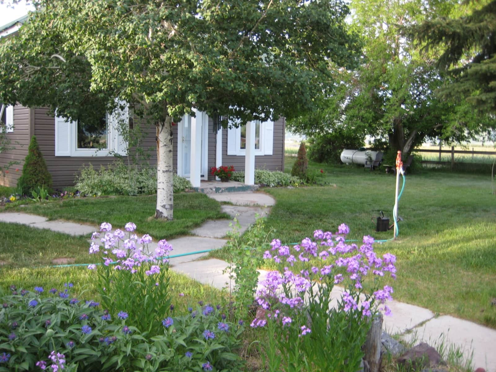 Housesitting assignment in Fairview, Wyoming, United States
