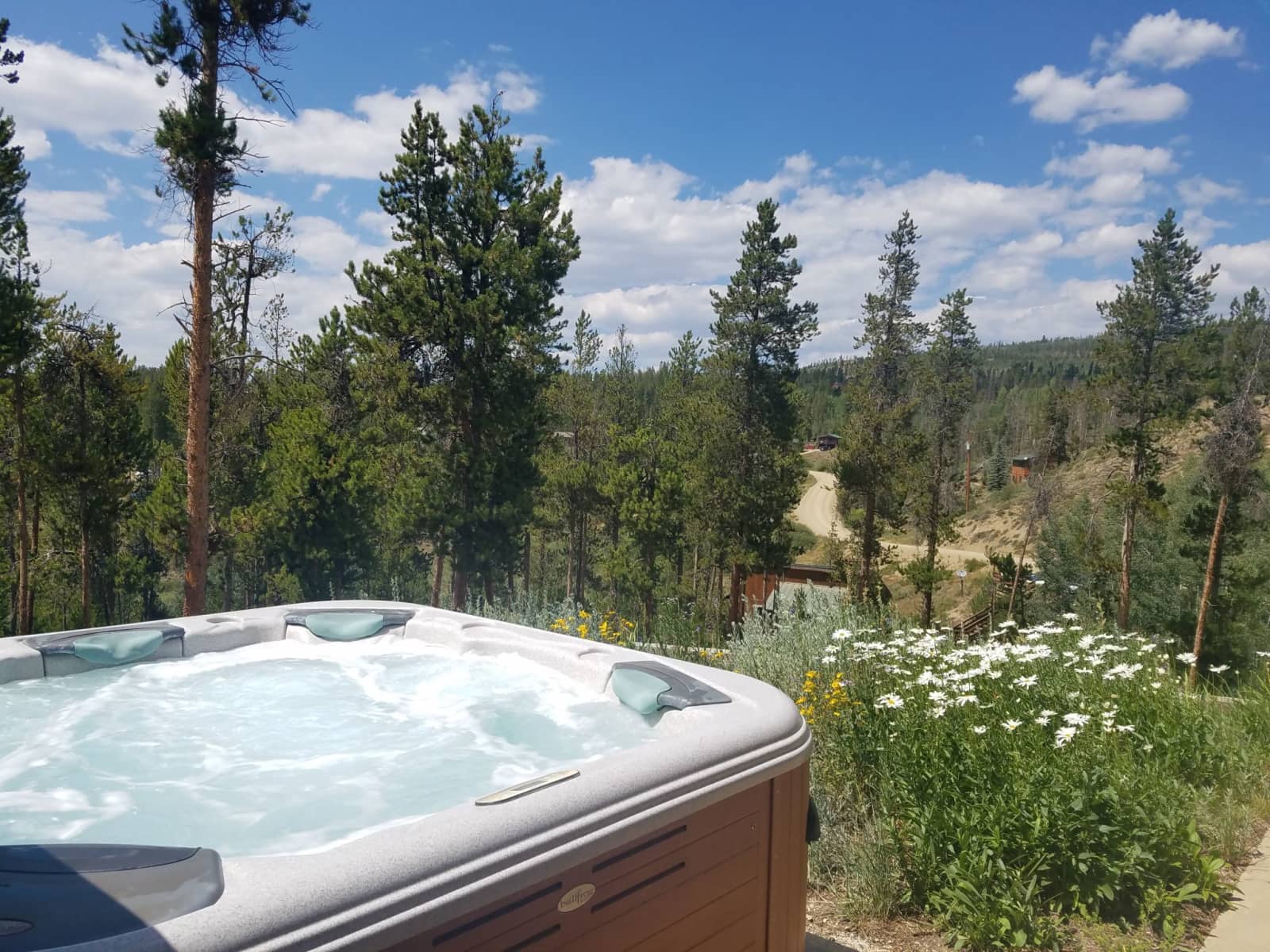 Housesitting assignment in Granby, Colorado, United States