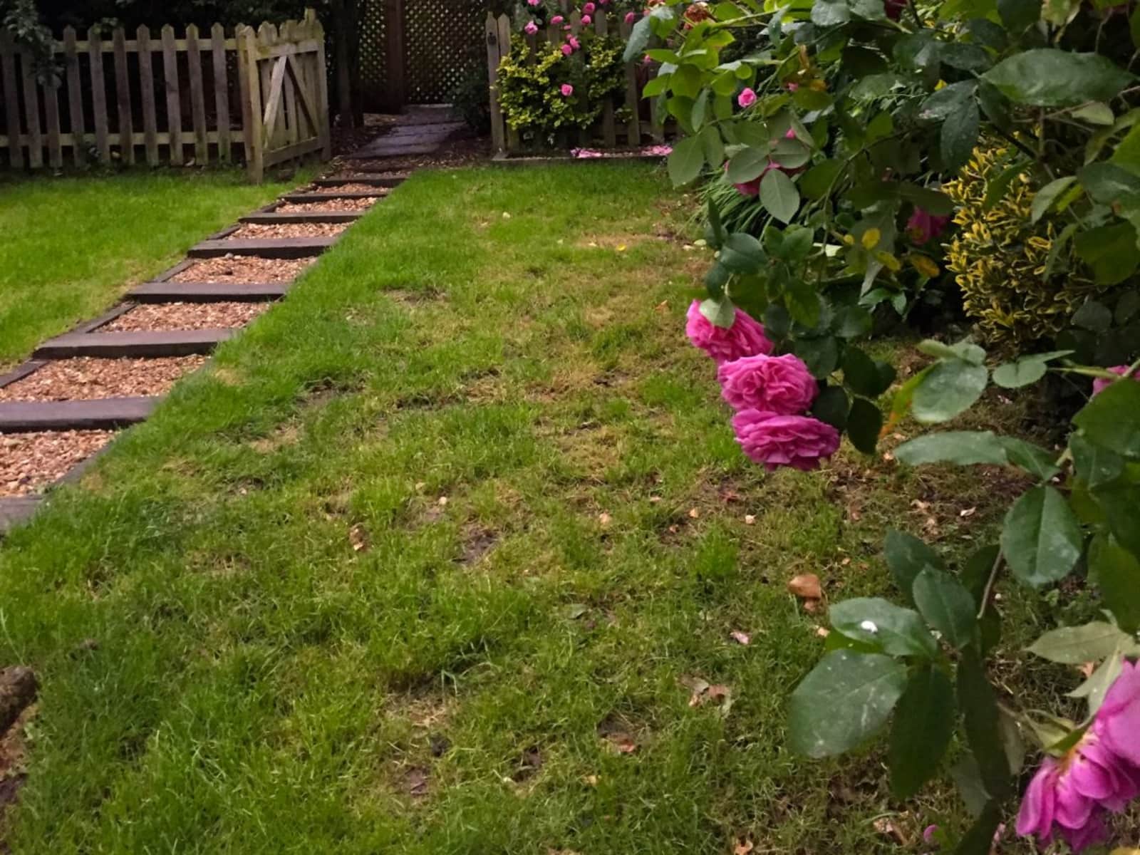 Housesitting assignment in Barnet, United Kingdom