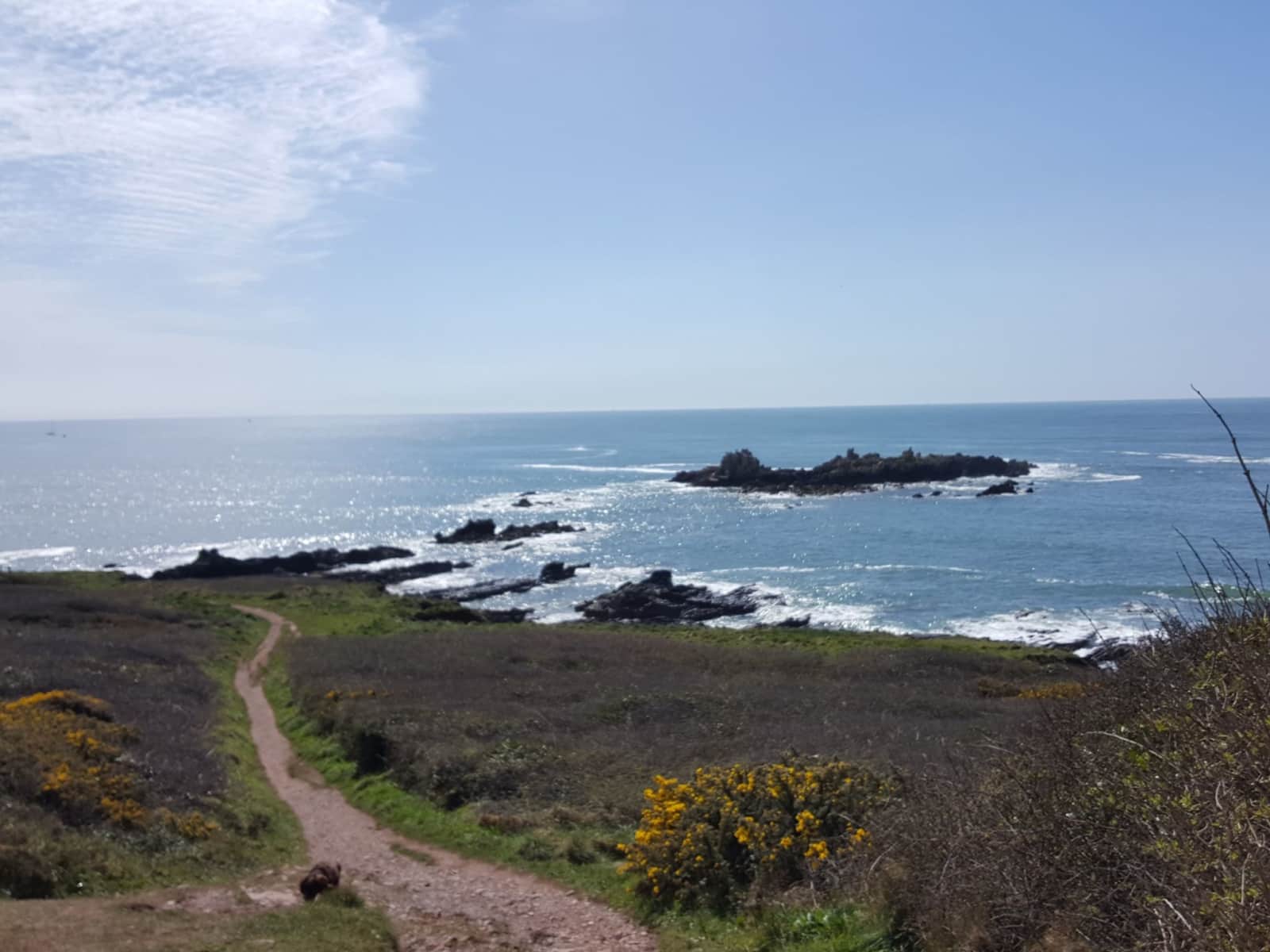 Housesitting assignment in Plymouth, United Kingdom