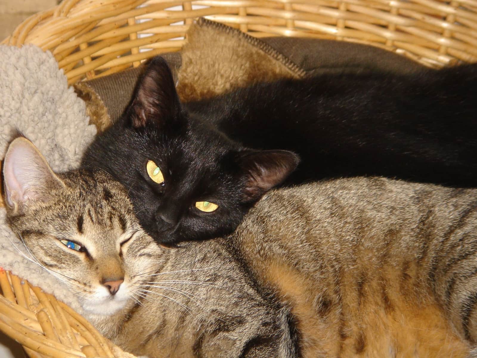 John & Shiona from Gorron, France