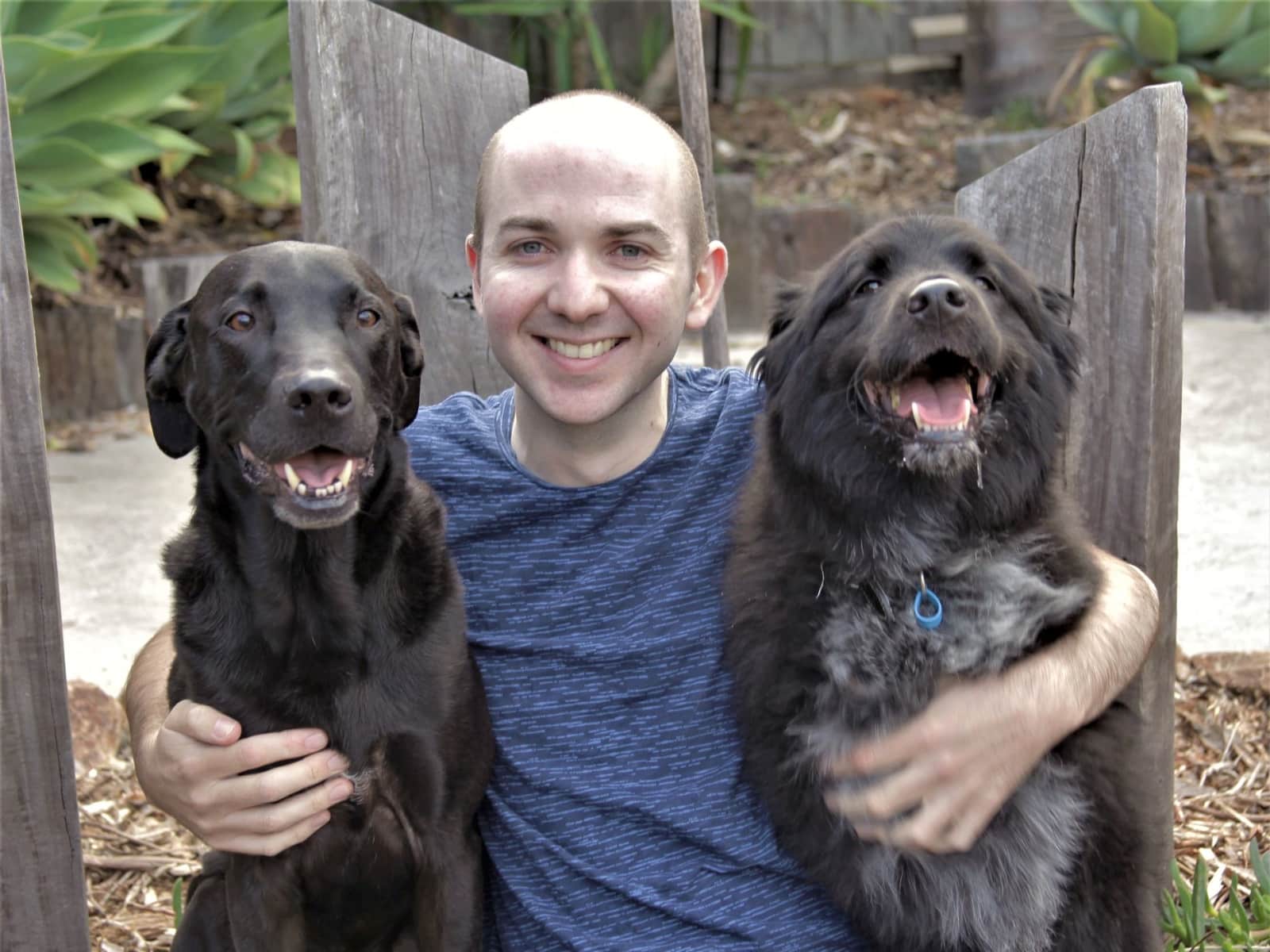 Daniel from Melbourne, Victoria, Australia