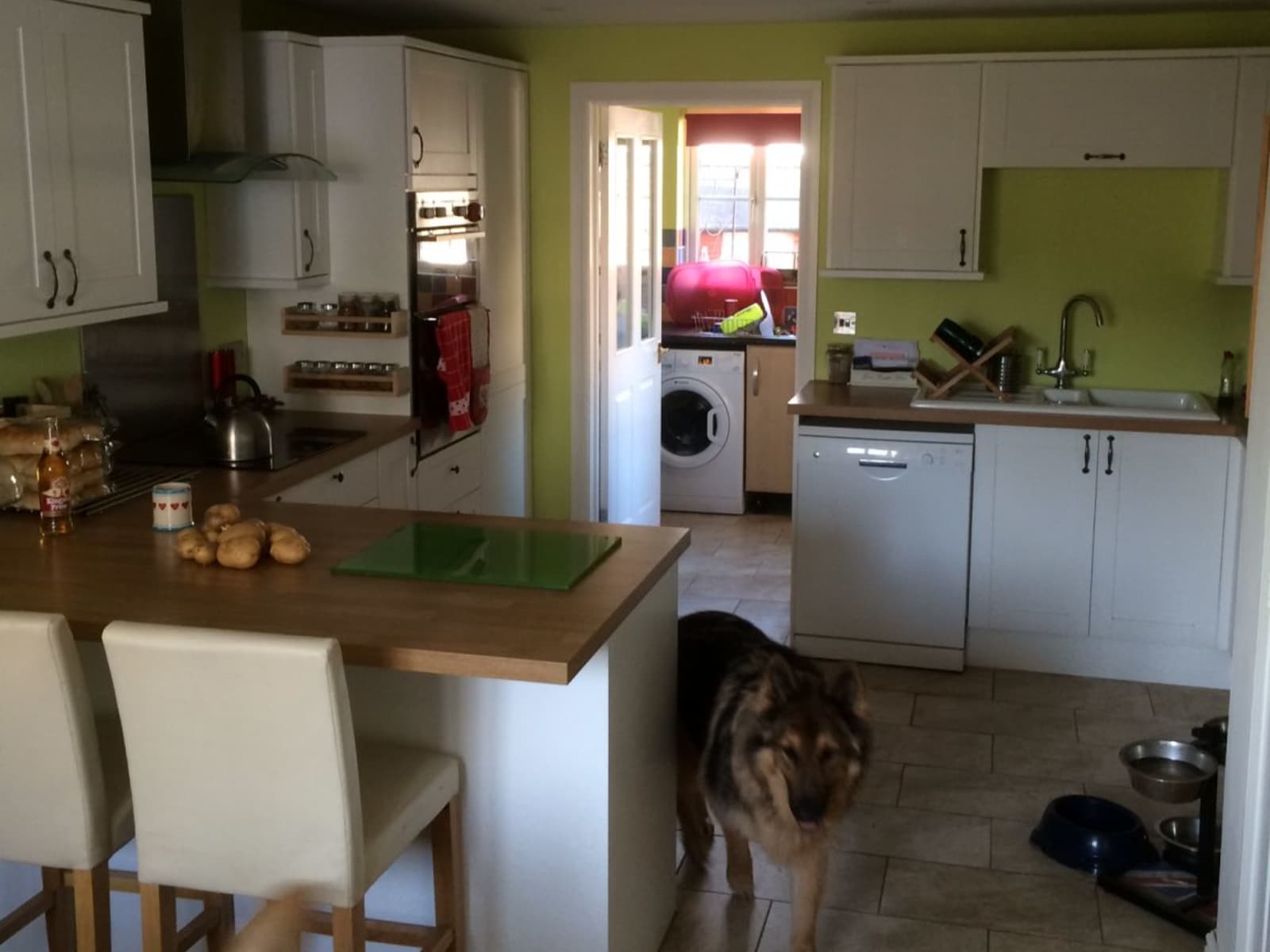 Housesitting assignment in Swindon, United Kingdom