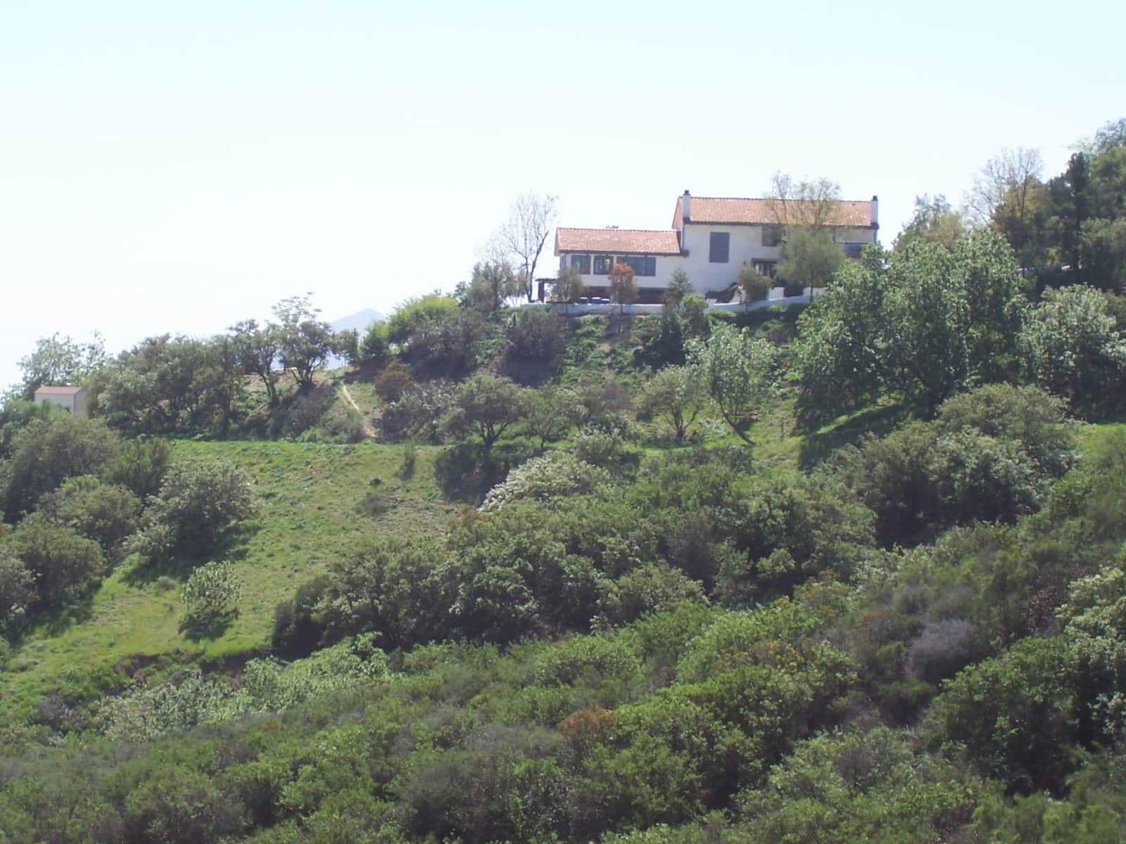 Housesitting assignment in Topanga, California, United States