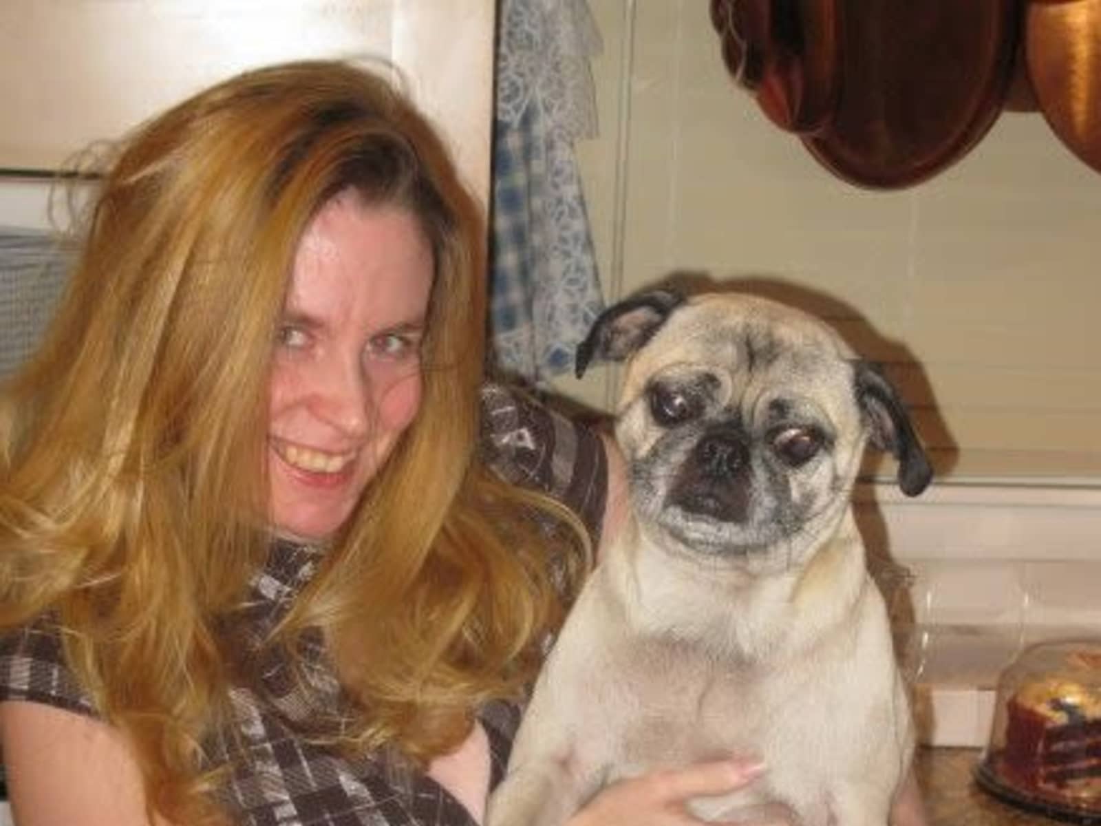 Kelly from Austin, Texas, United States