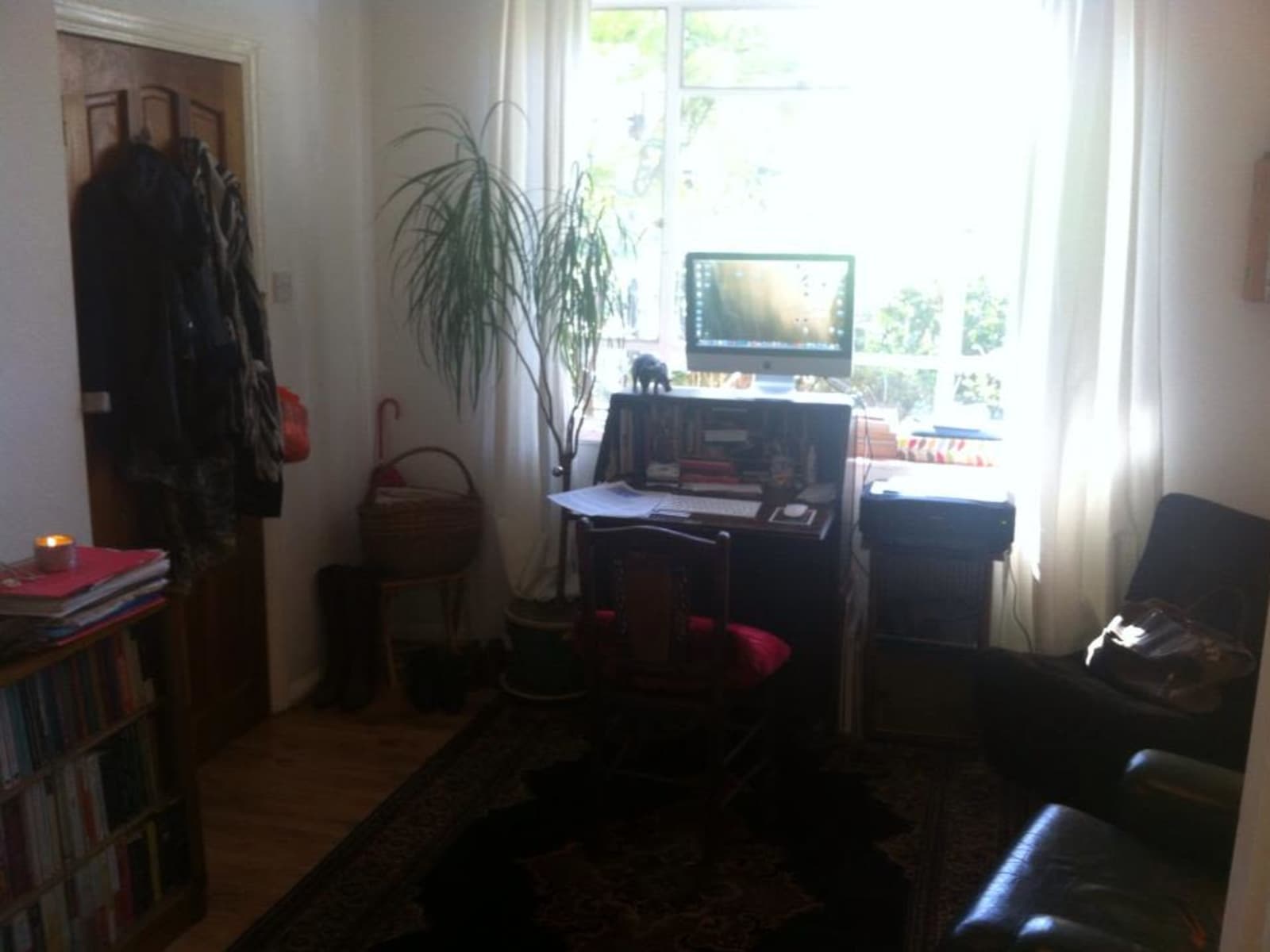 Housesitting assignment in London, United Kingdom