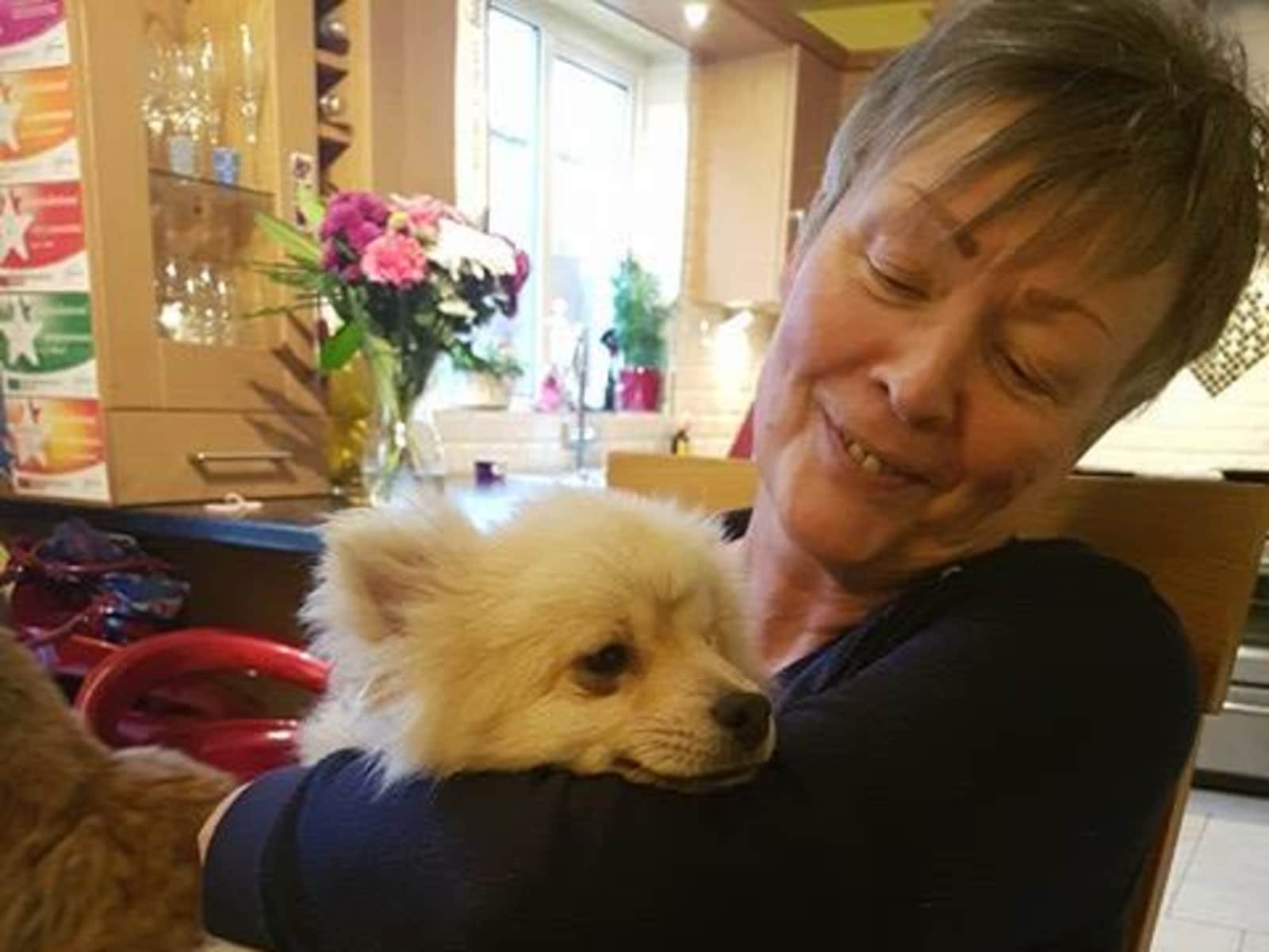 Jill from Newry, United Kingdom
