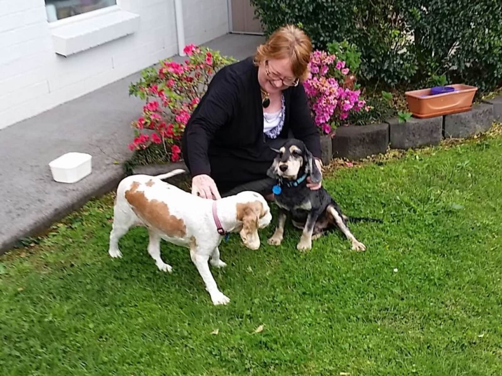 Wendy from Lismore, New South Wales, Australia