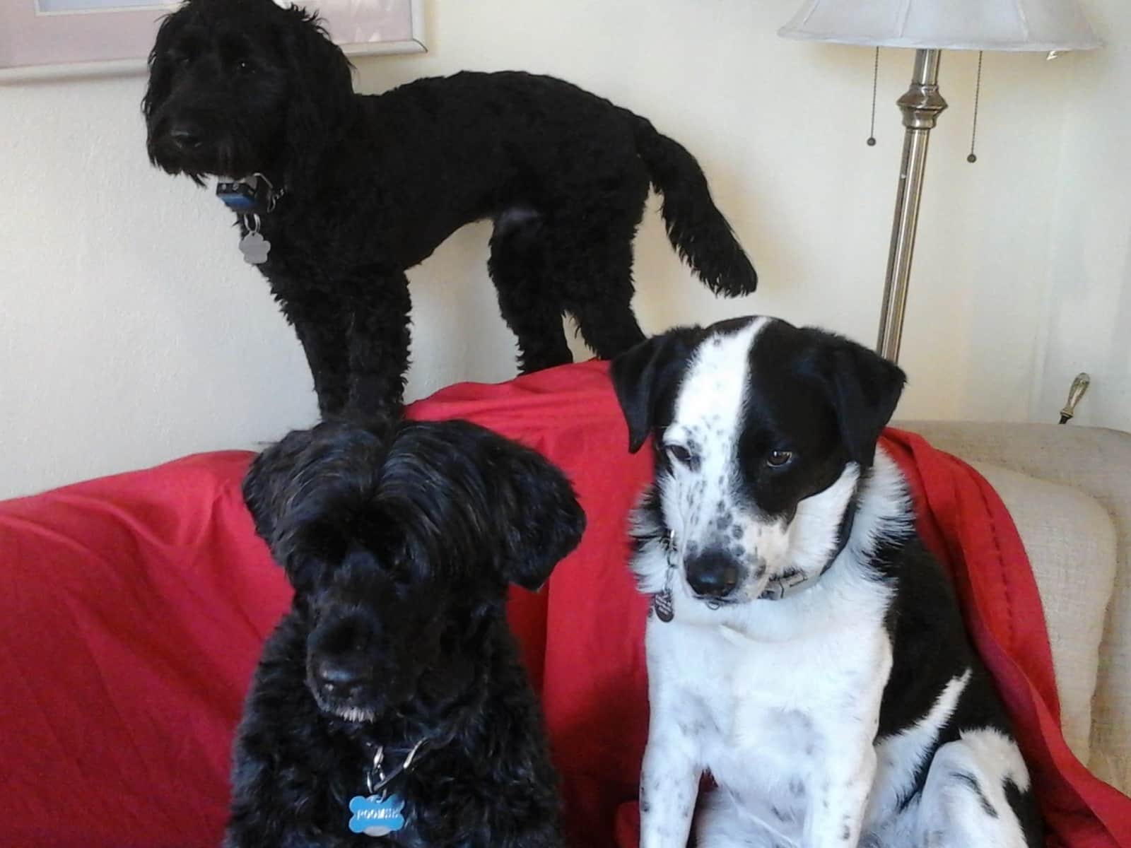 Jackie from Edmonton, Alberta, Canada