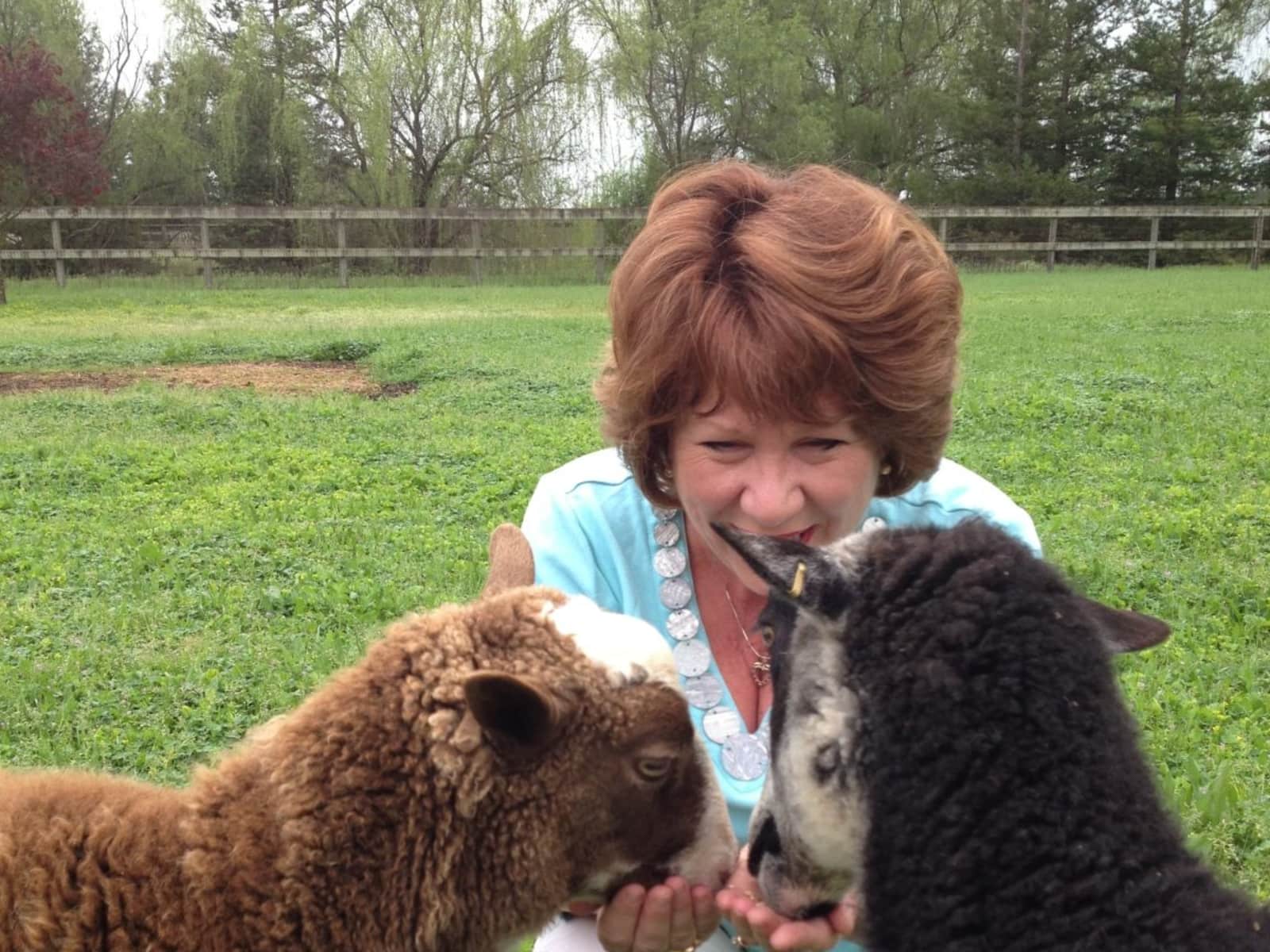 Colleen & Charlie from Seattle, Washington, United States