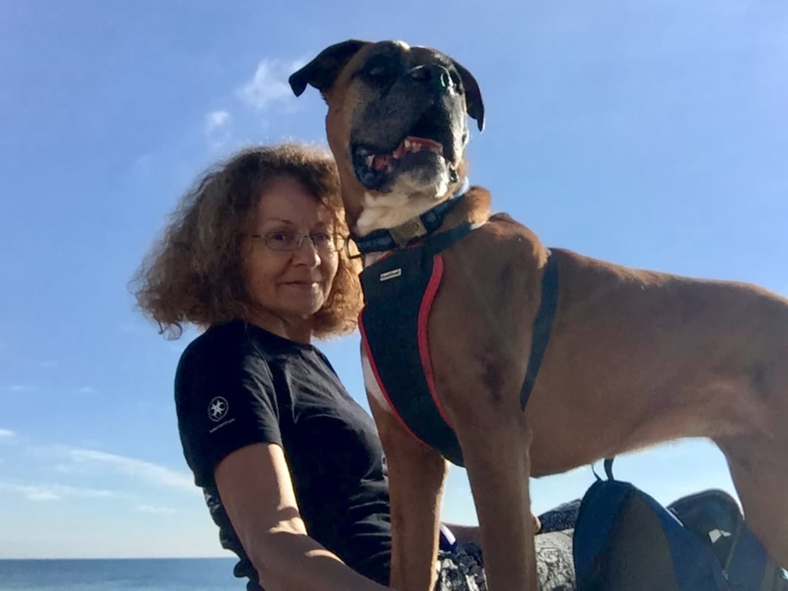 Marie-louise from Brighton, United Kingdom