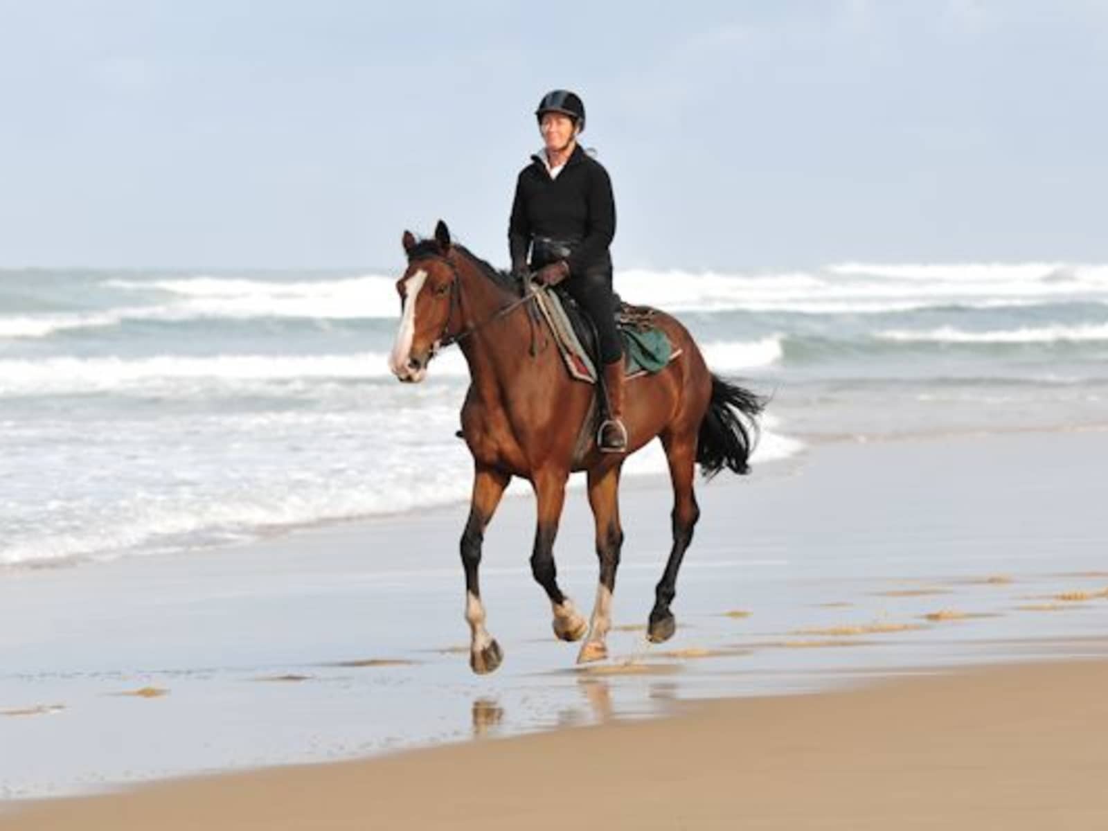 Diane from Mortagne-sur-Gironde, France