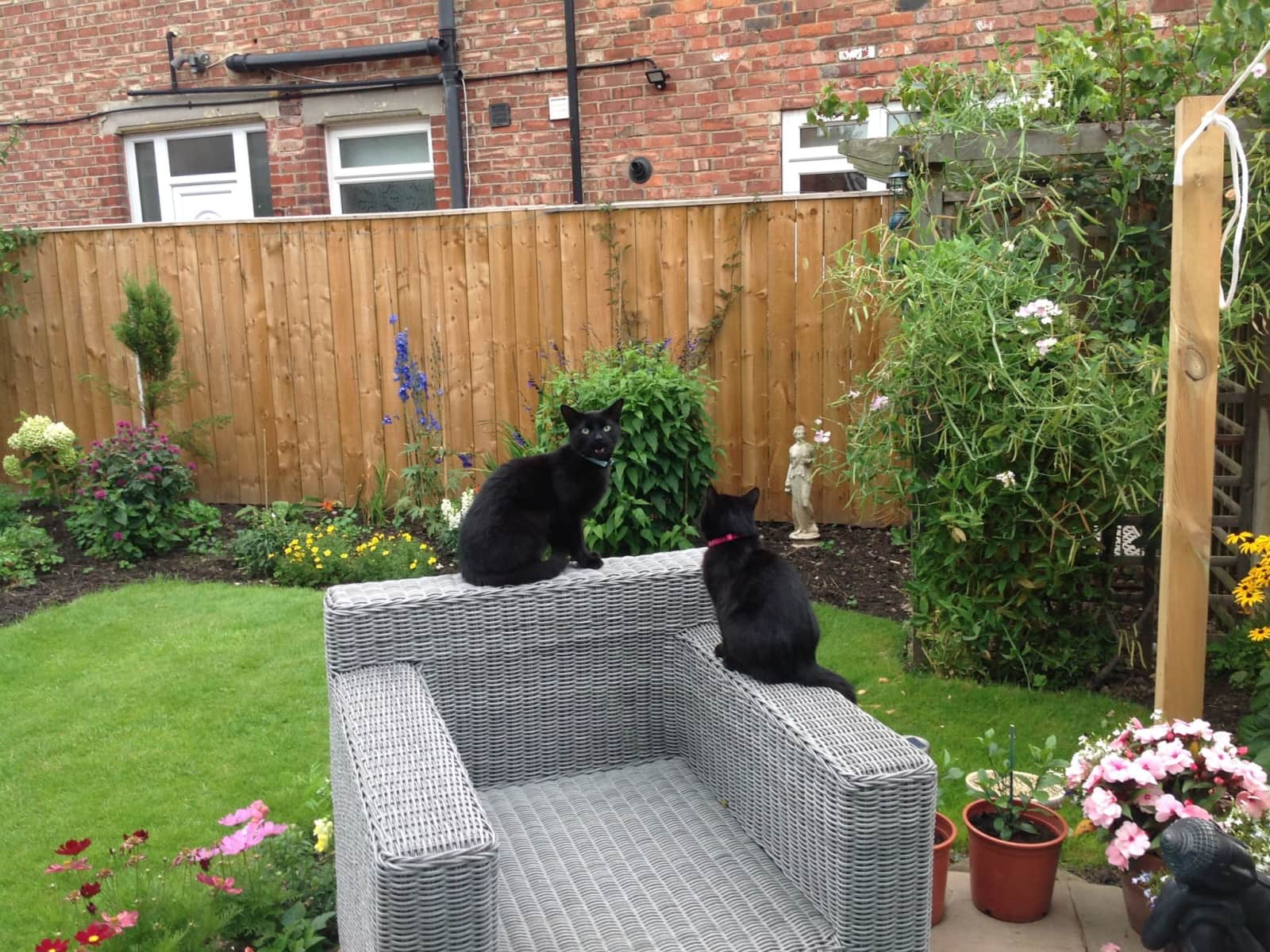 Housesitting assignment in Middlesbrough, United Kingdom