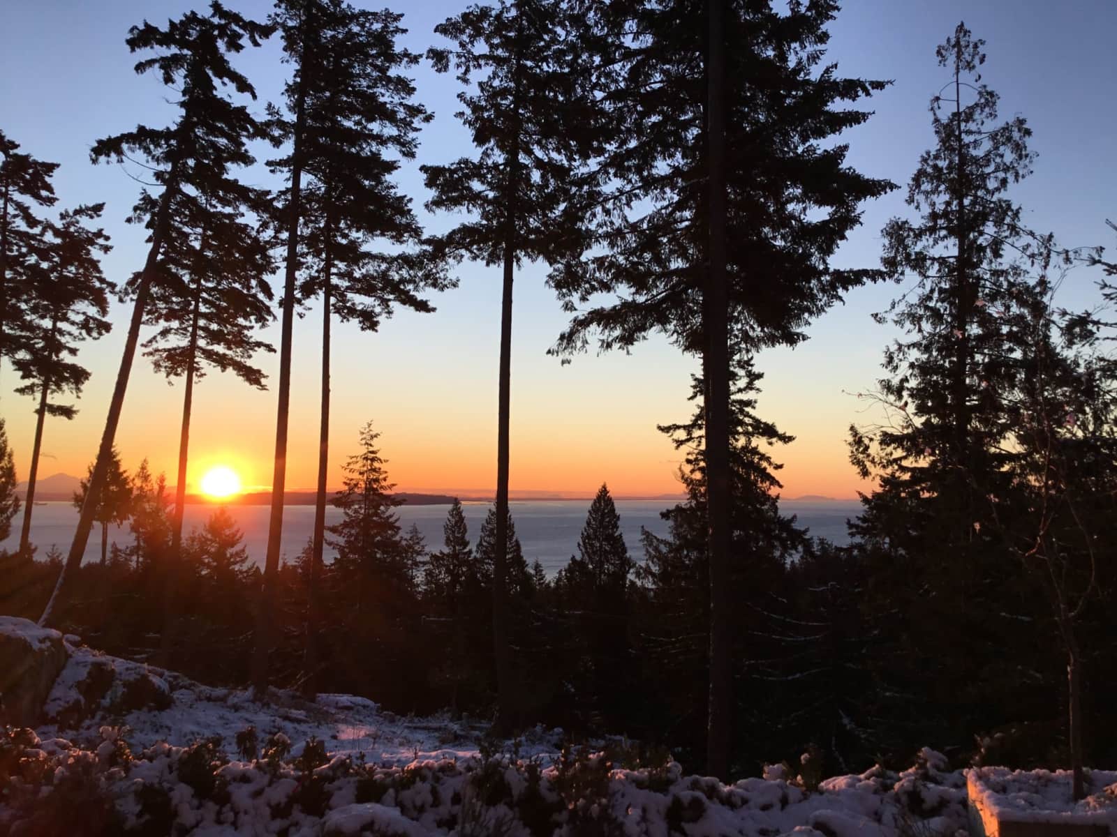 Housesitting assignment in Bowen Island, British Columbia, Canada