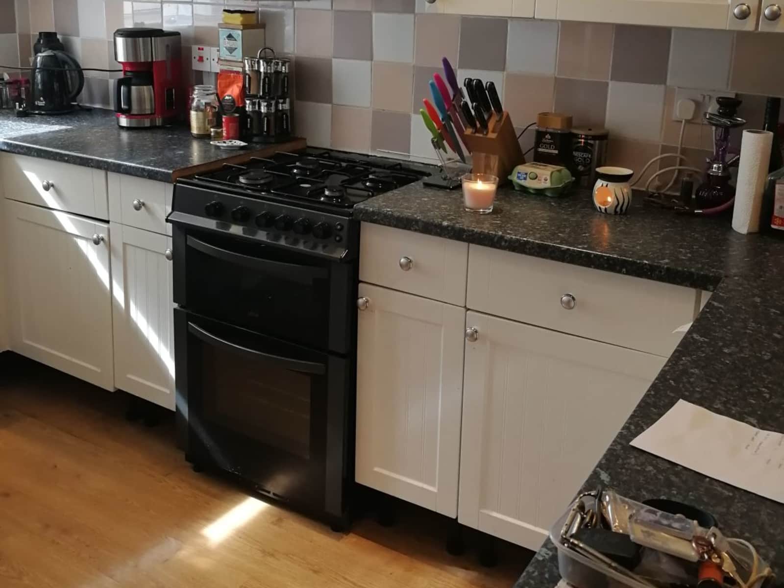 Housesitting assignment in Plymouth, United Kingdom