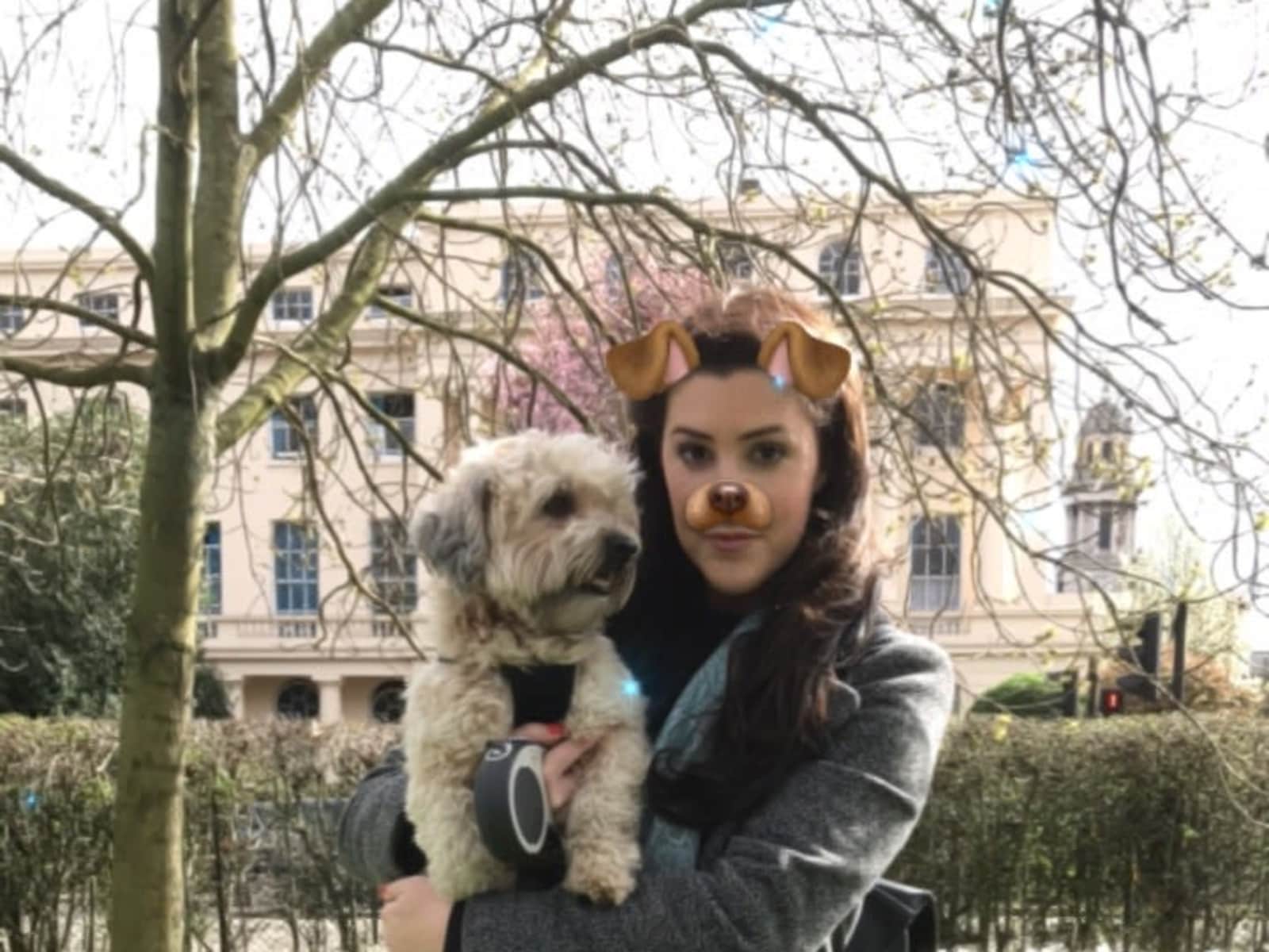Cat from London, United Kingdom