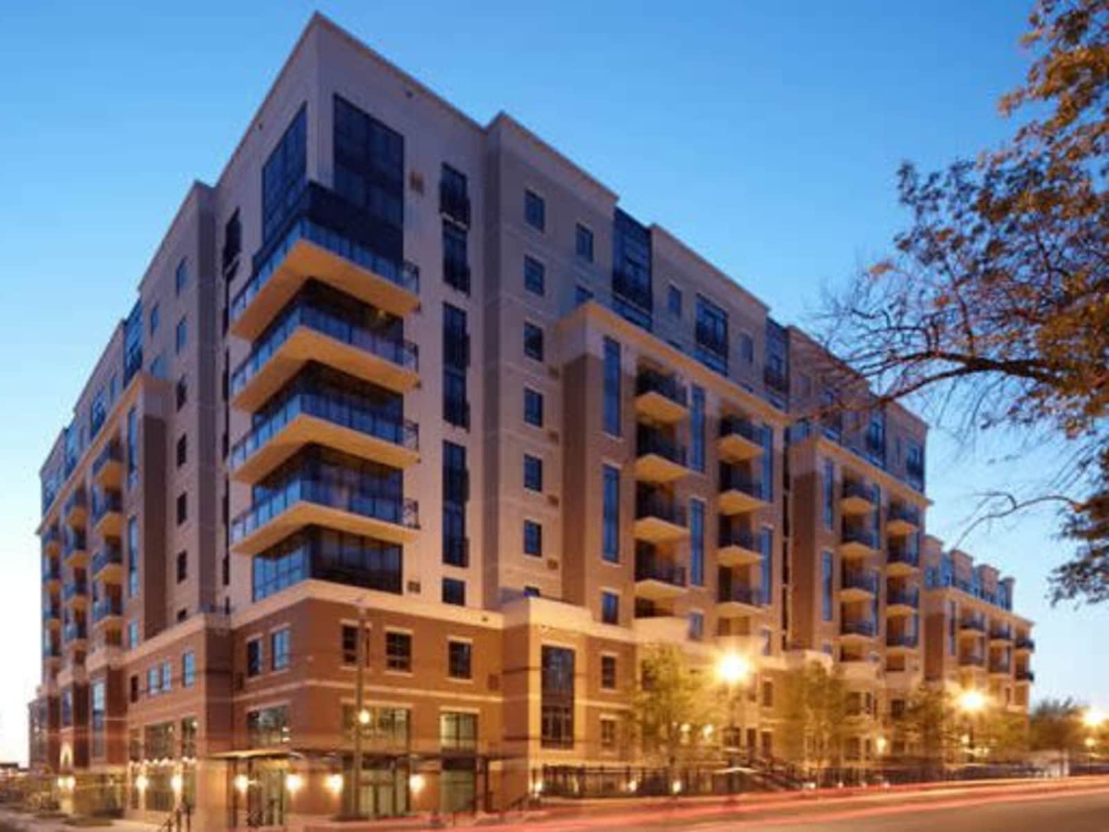 Housesitting assignment in Washington, D.C., Washington, D.C., United States