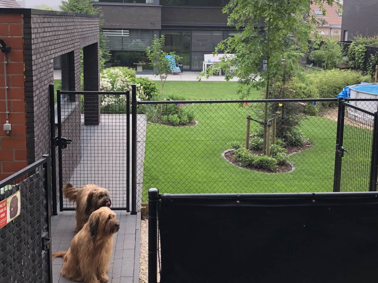 Housesitting assignment in Geel, Belgium